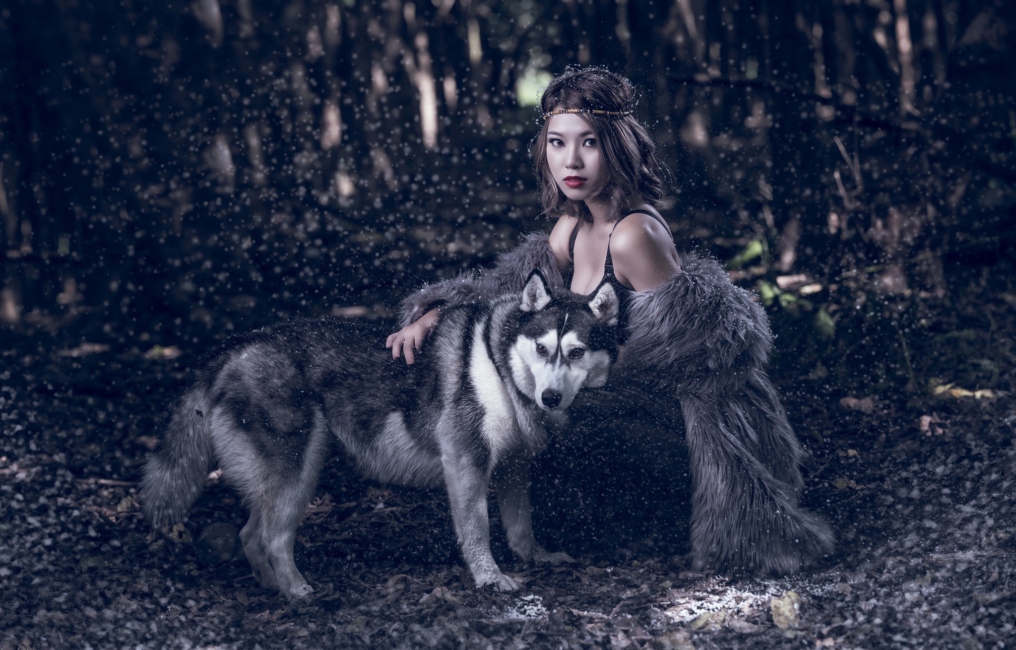 Brunette Asian Woman with Husky in Snowy Forest HD Wallpaper