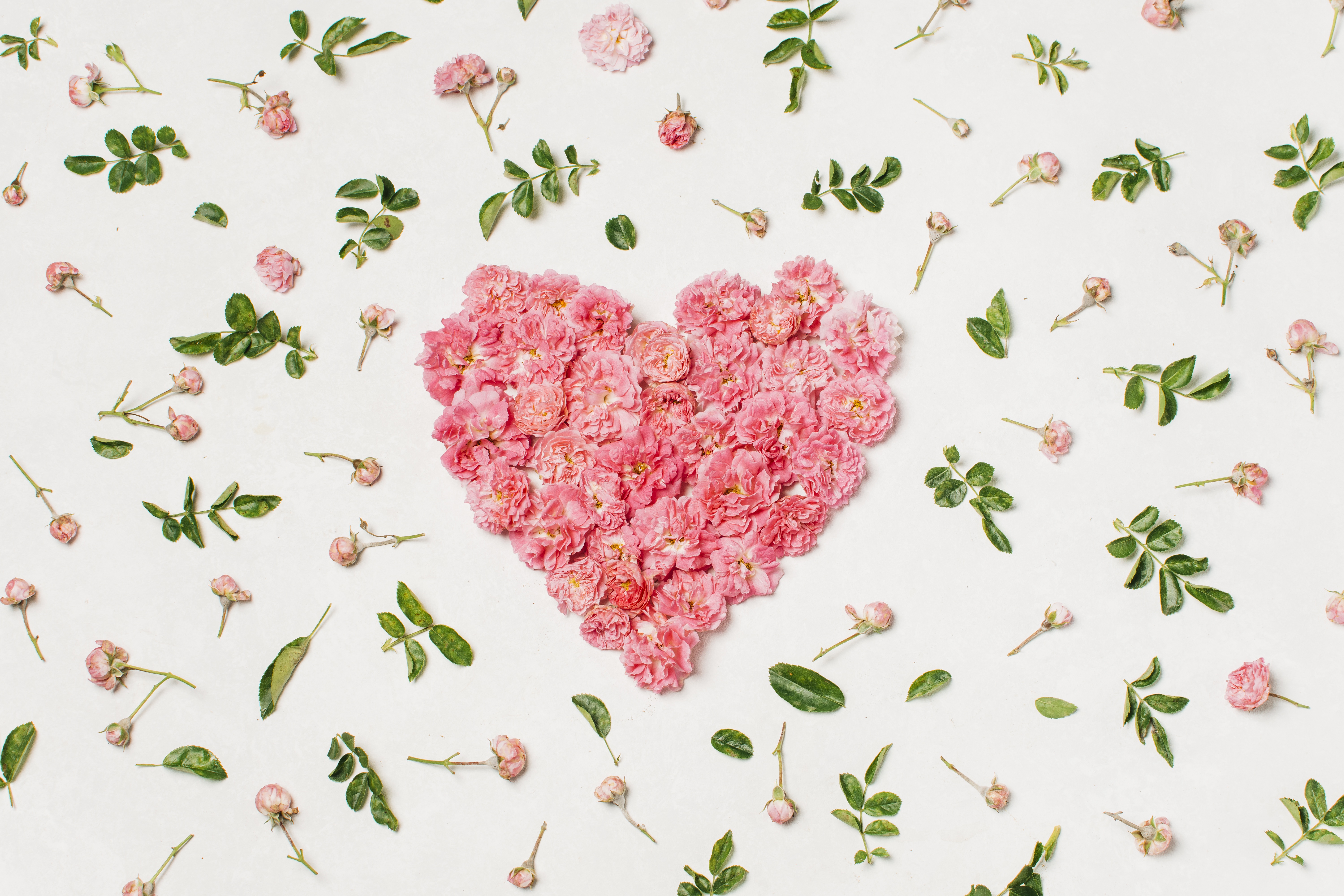 Pink flowers arranged in a heart shape HD Wallpaper