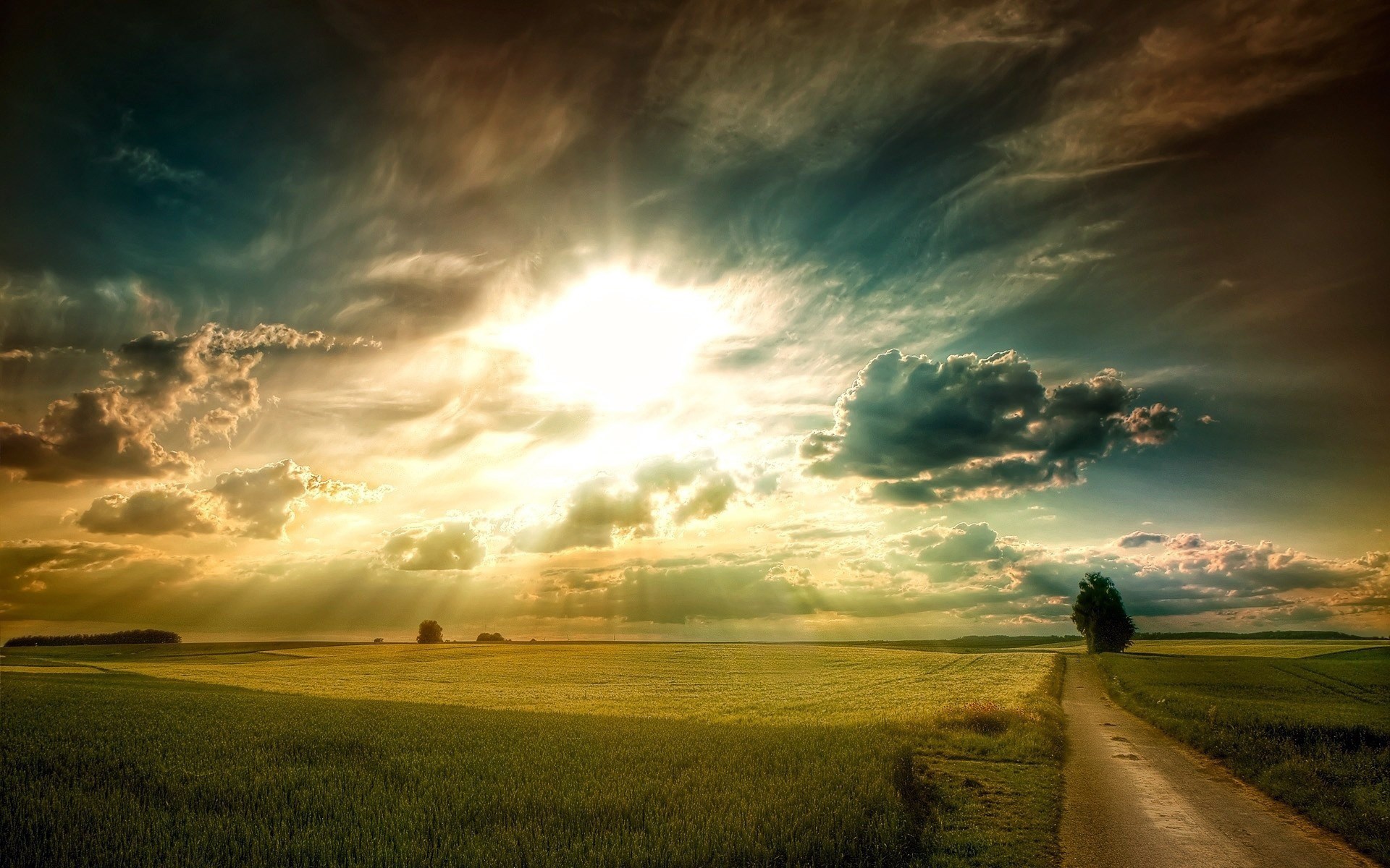 Sunbeams over a field with a dirt road HD Wallpaper