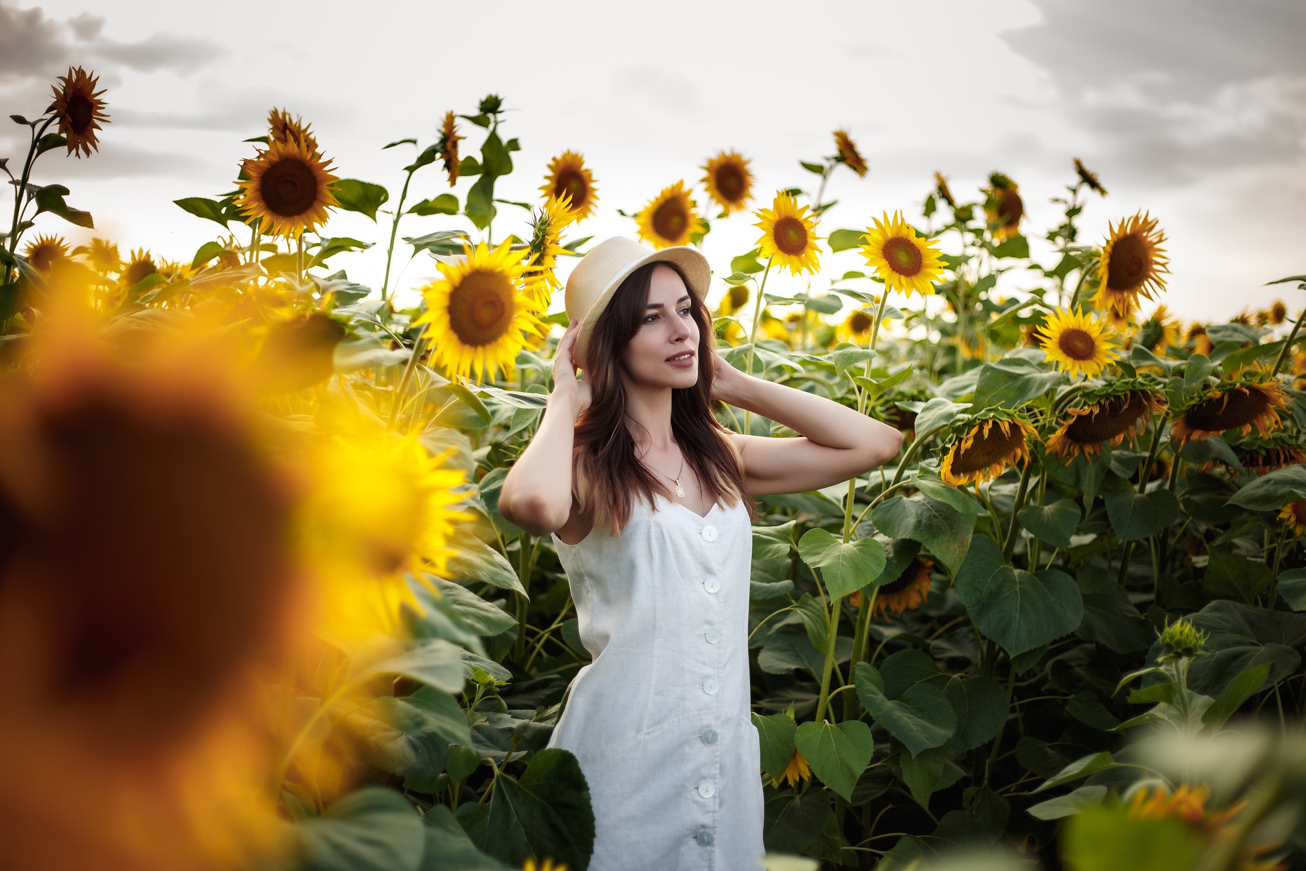 Woman in white dress and hat in sunflower field HD Wallpaper