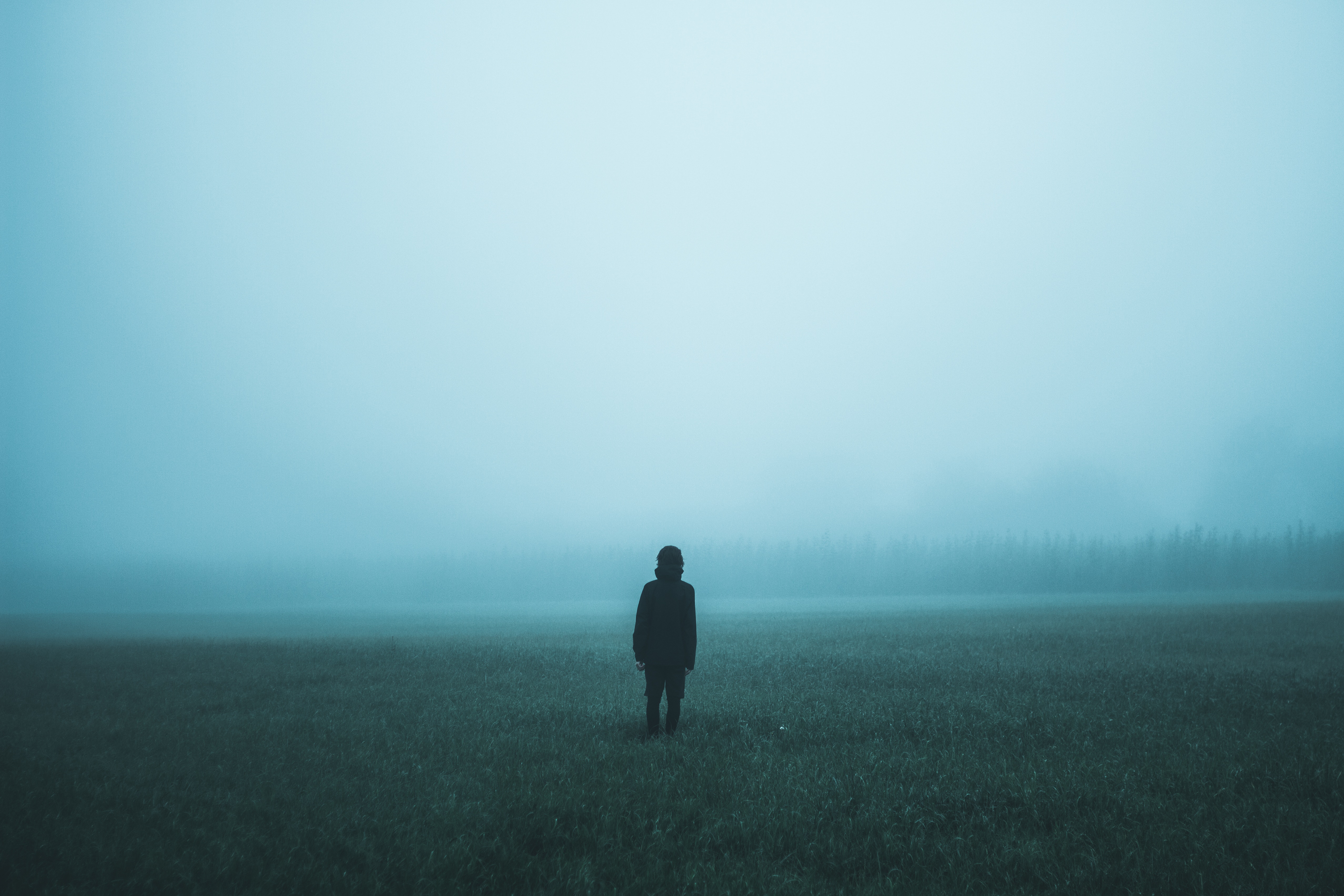 Person standing in a foggy field with trees in the background HD Wallpaper
