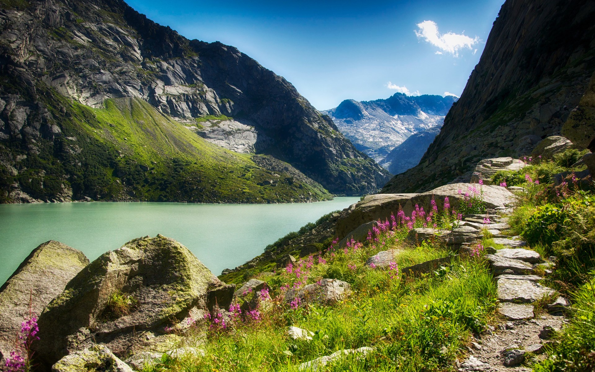 Mountain lake with a stone path and purple flowers HD Wallpaper