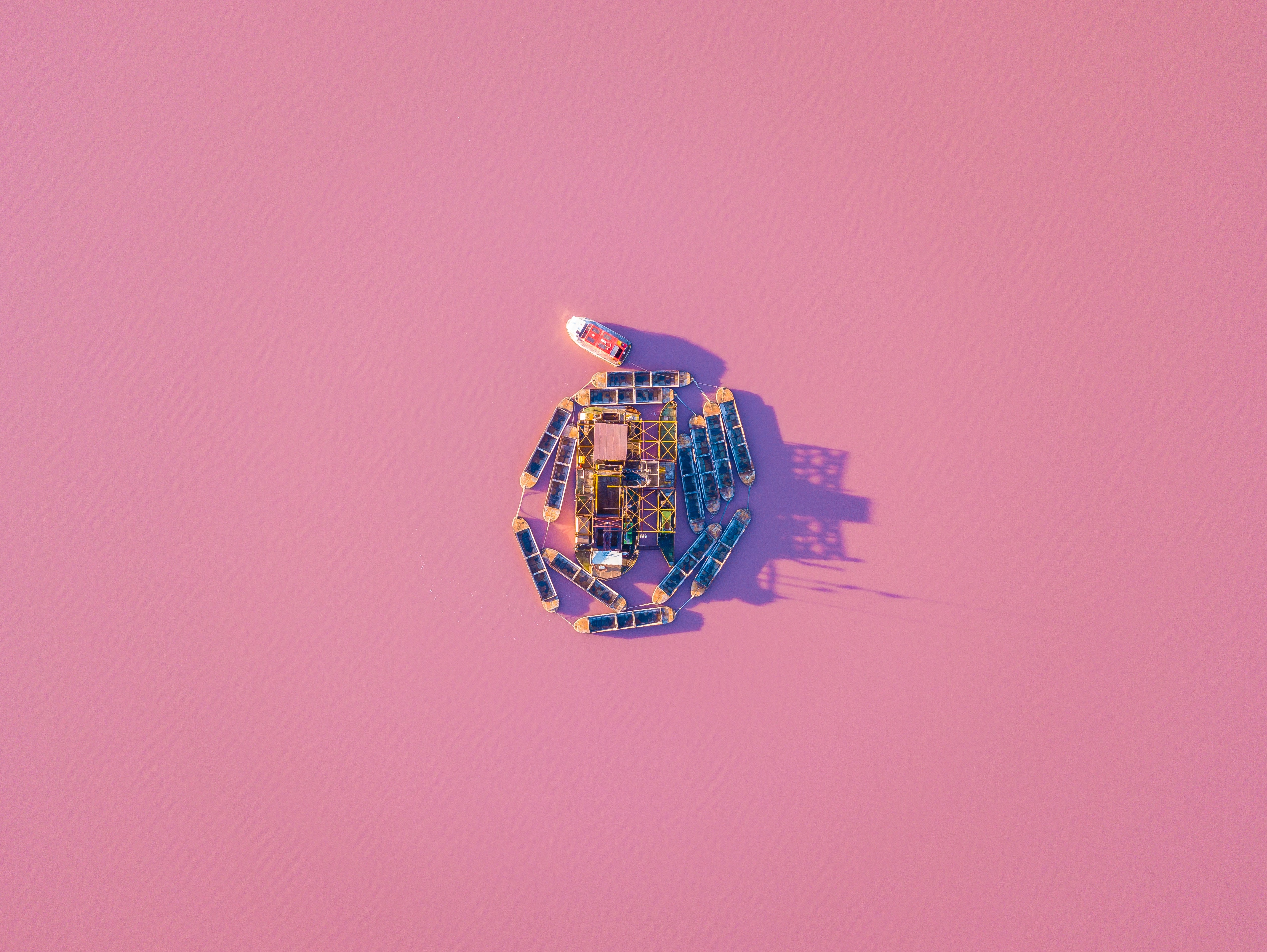 Aerial view of boats arranged in a circle on a pink lake HD Wallpaper
