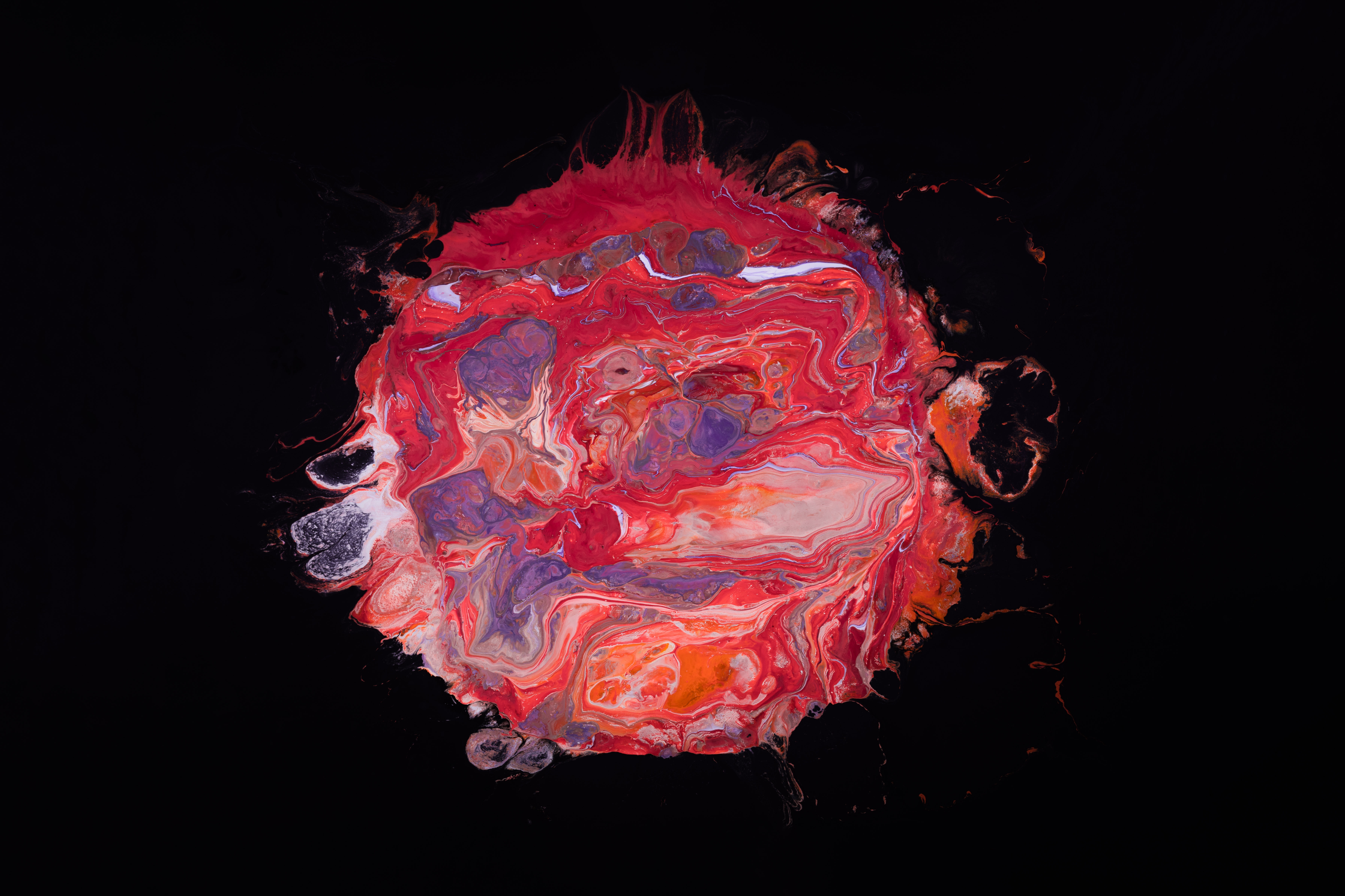 Abstract colorful paint splatter on black background HD Wallpaper