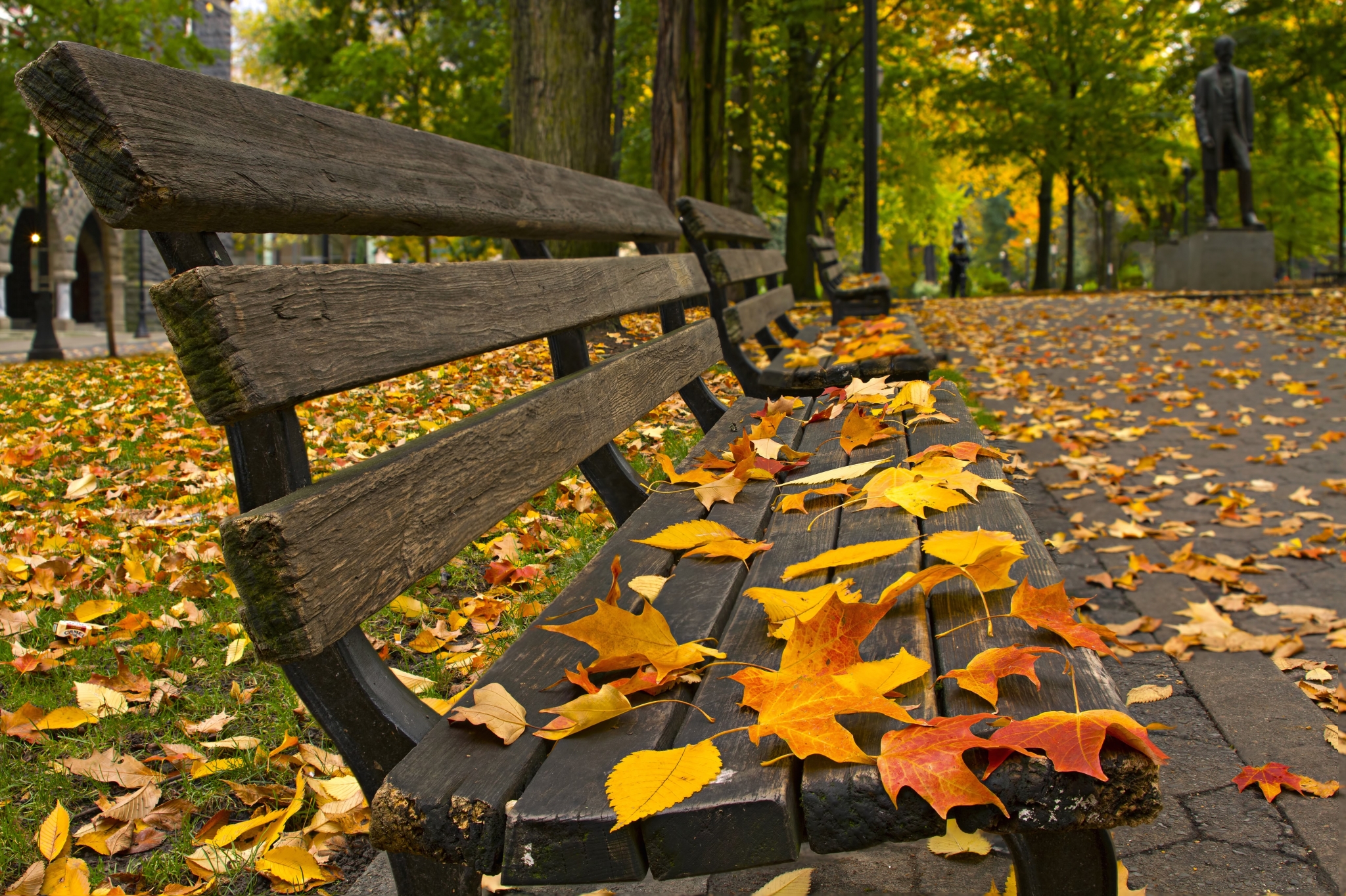 Park bench covered in autumn leaves HD Wallpaper