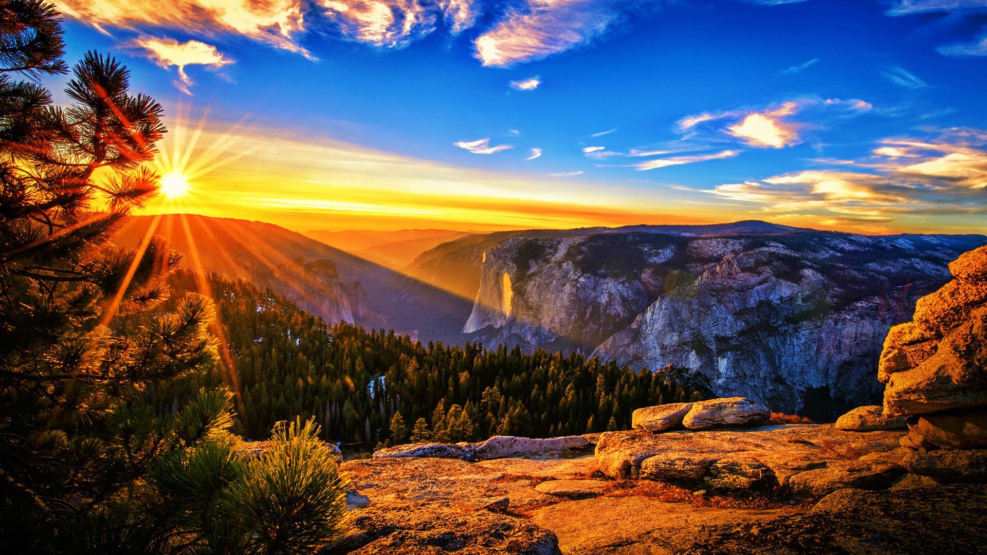 Sunrise over Yosemite Valley with pine trees HD Wallpaper