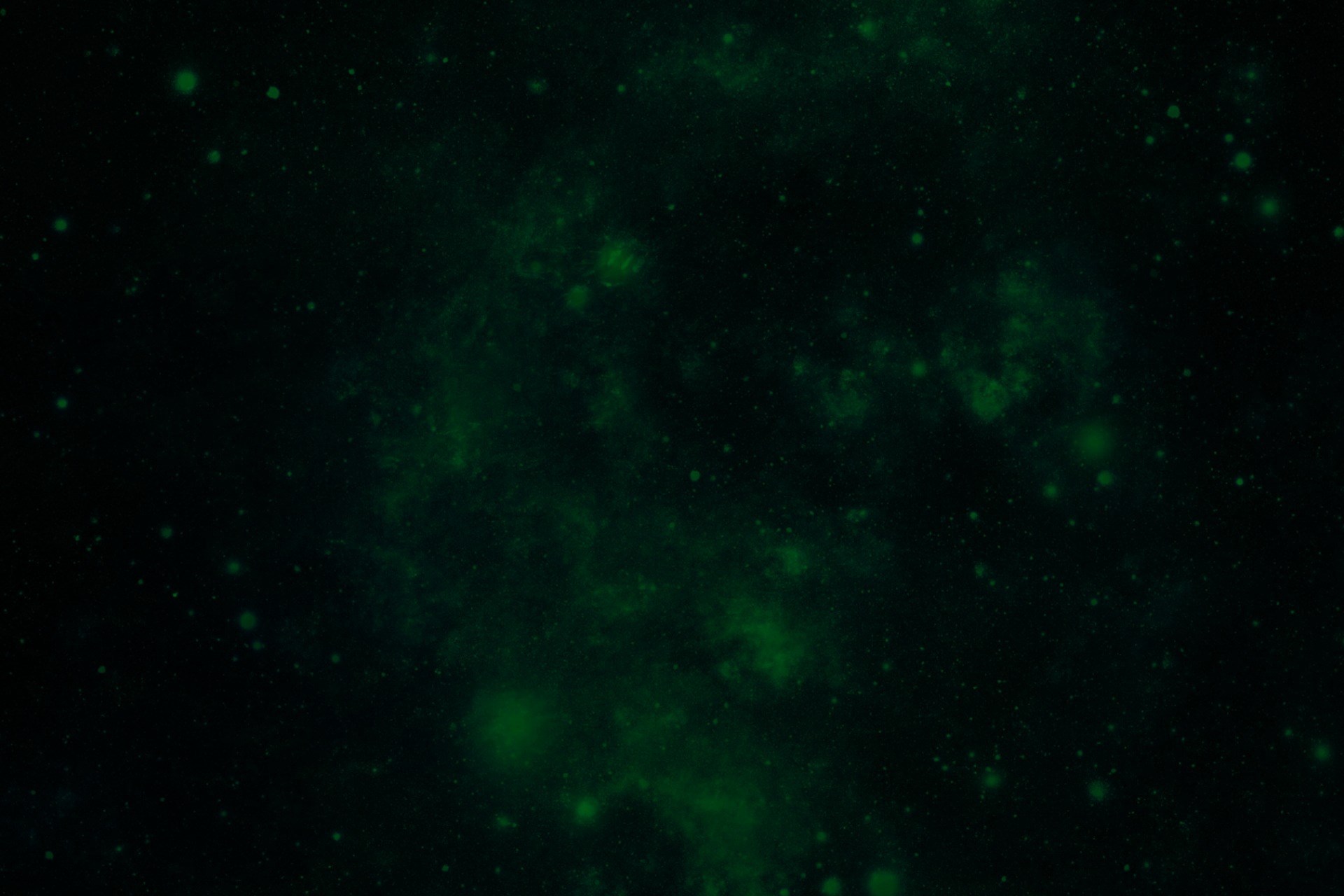 Abstract Green Nebula with Stars HD Wallpaper