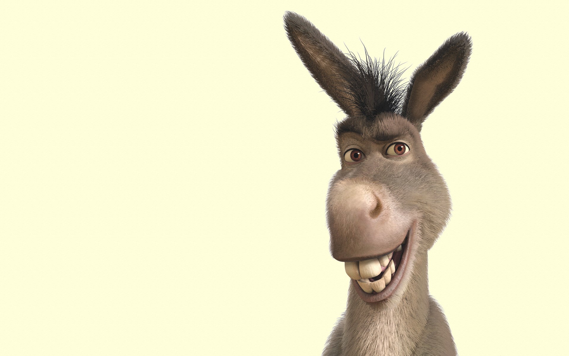 Donkey from Shrek HD Wallpaper