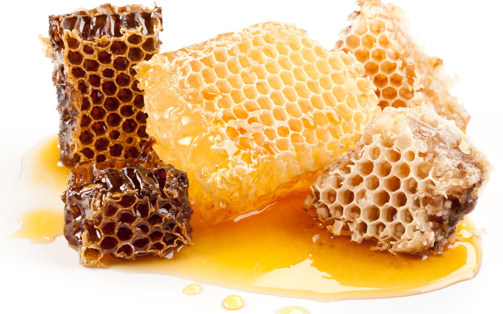 Honeycomb with honey on white background HD Wallpaper