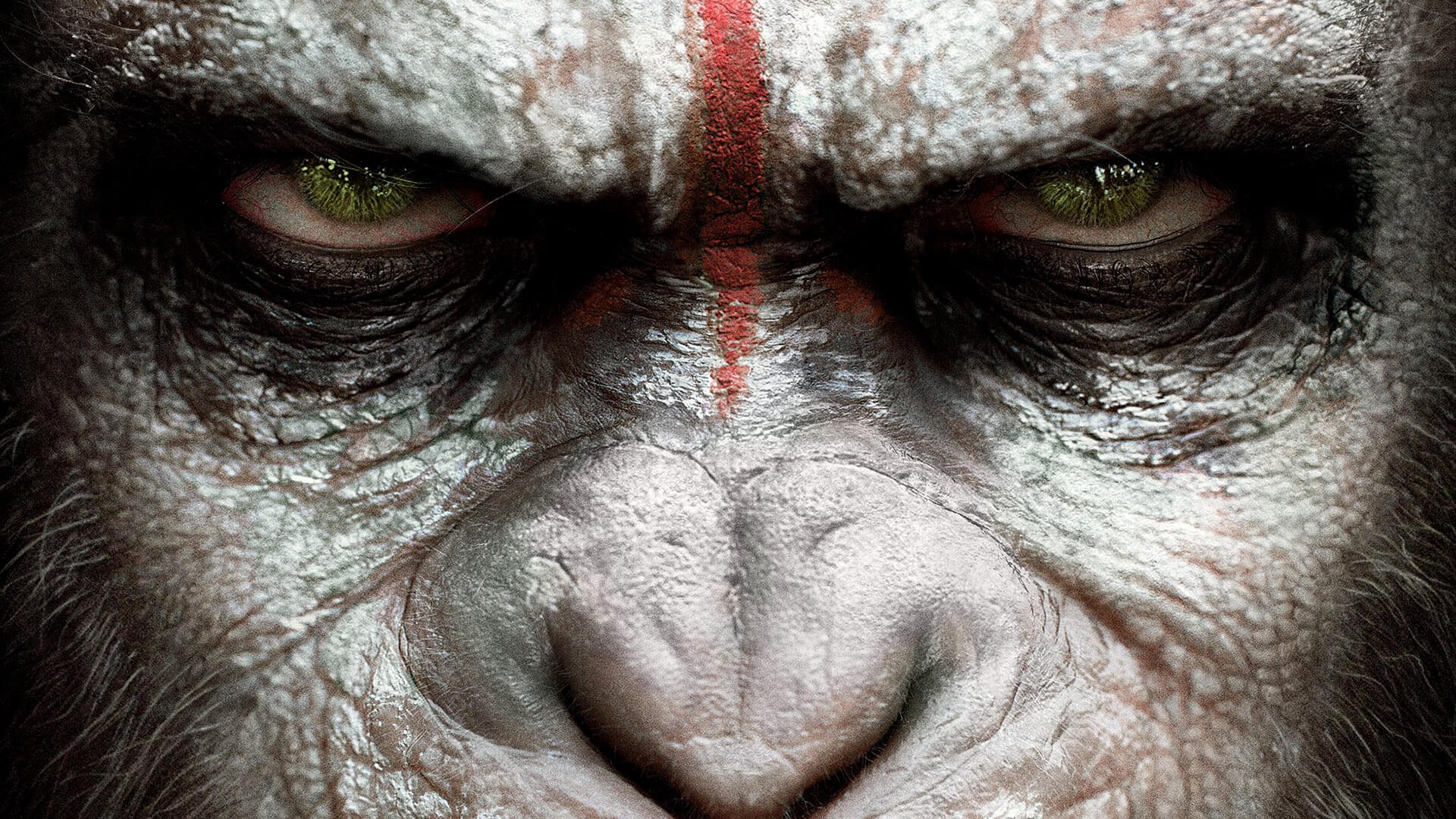 Caesar from Dawn of the Planet of the Apes HD Wallpaper
