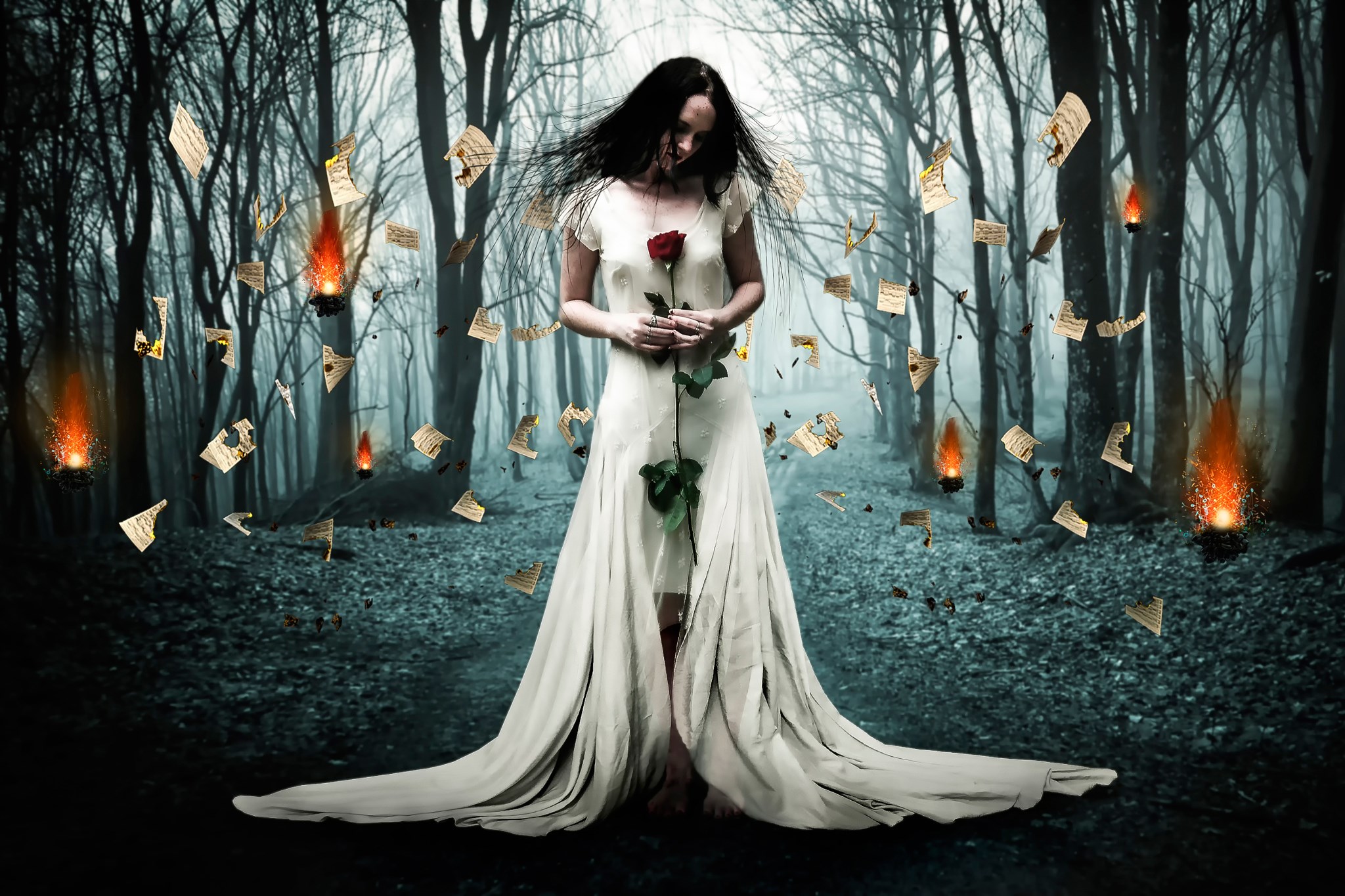 Woman in white dress holding a red rose in a dark forest HD Wallpaper
