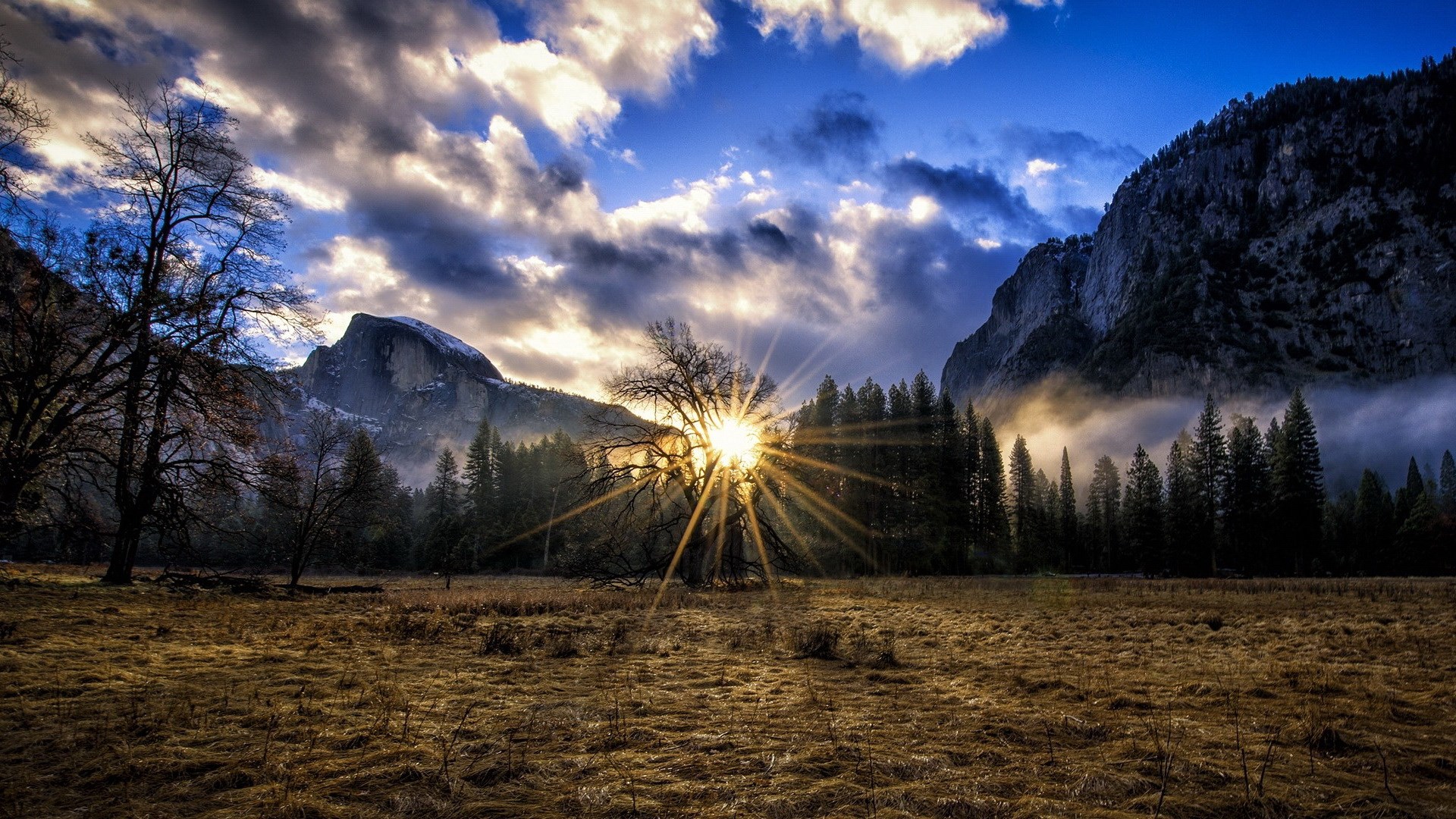 Sunbeams through trees in Yosemite Valley HD Wallpaper