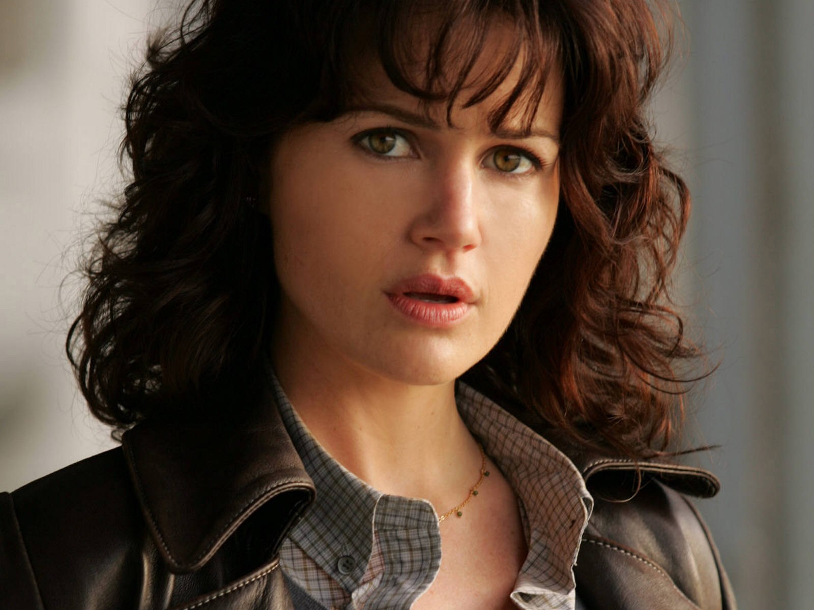 Carla Gugino HD Wallpaper