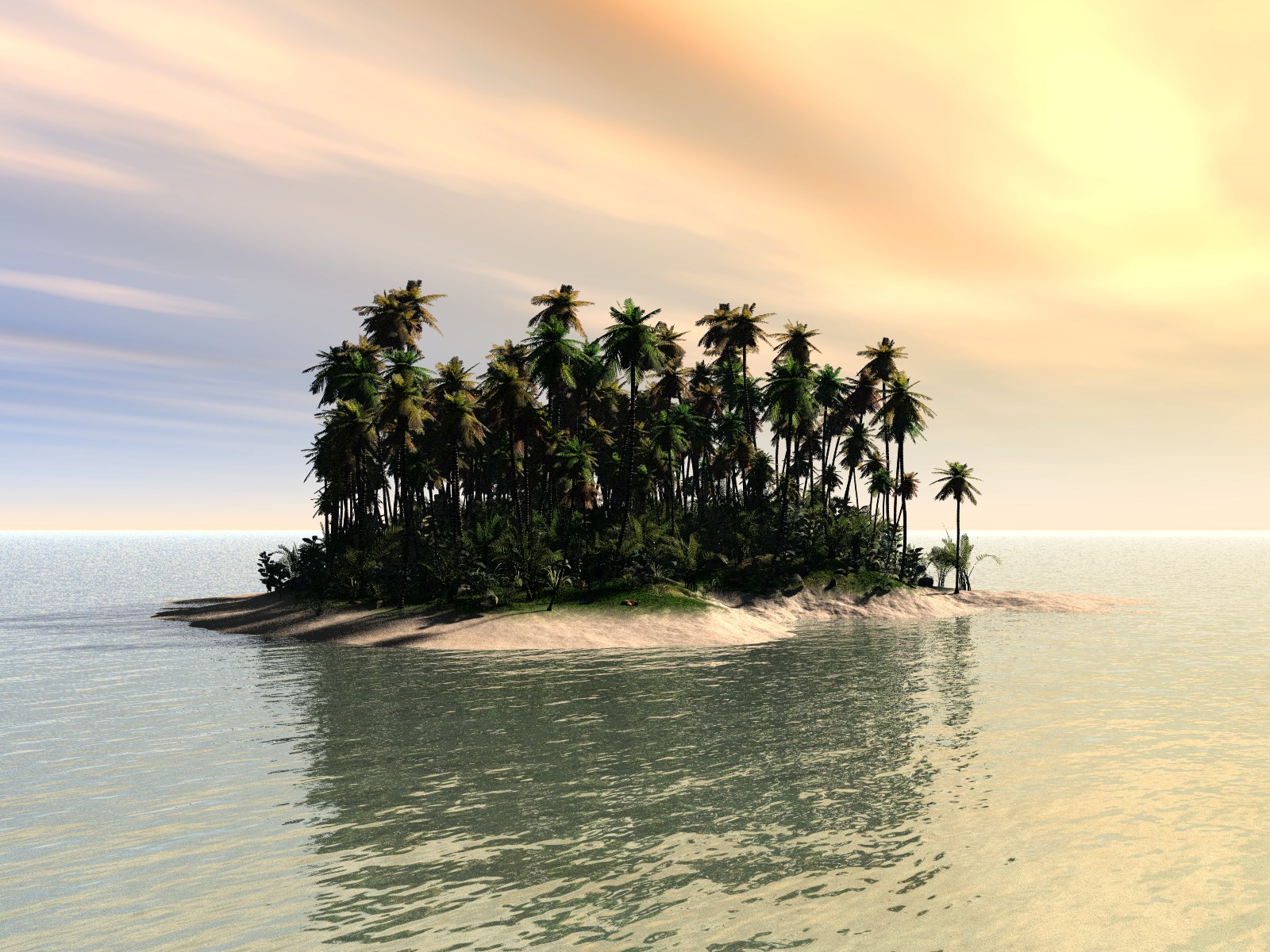 Tropical island with palm trees in the ocean HD Wallpaper