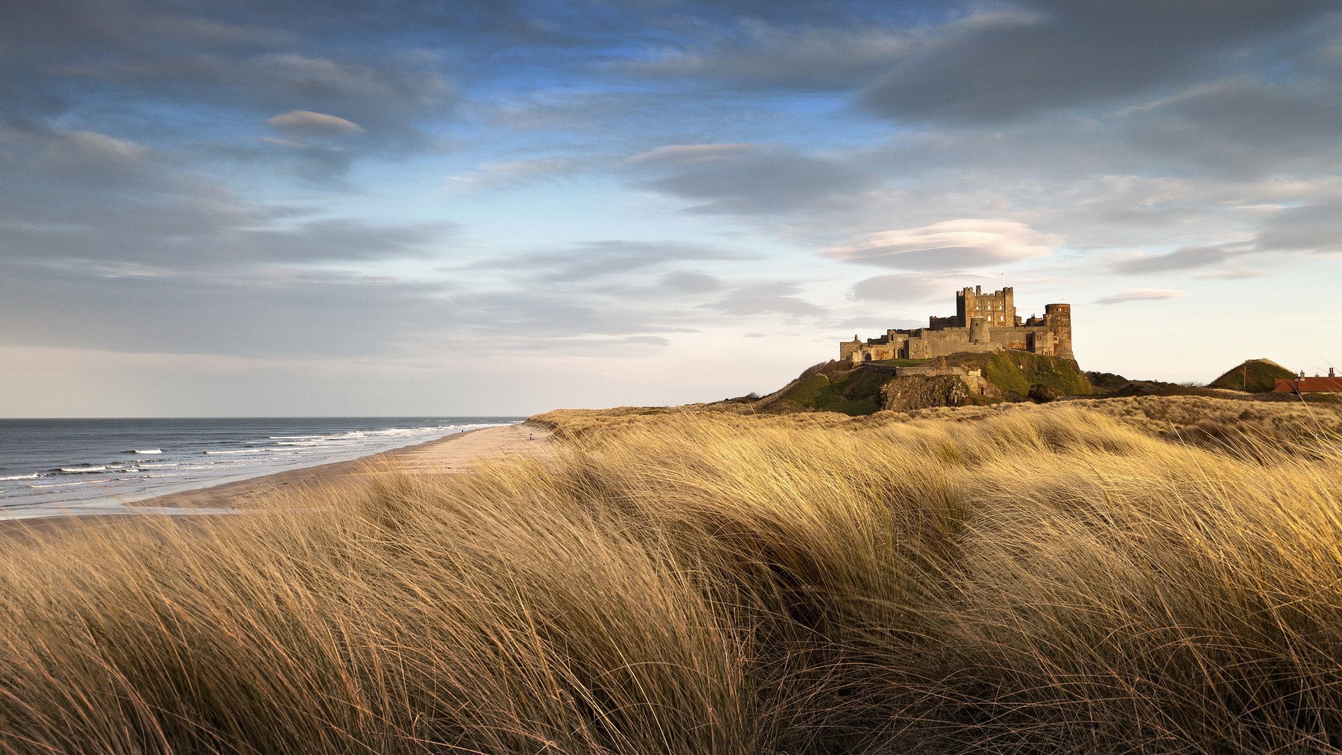 Bamburgh Castle on a grassy coastline HD Wallpaper