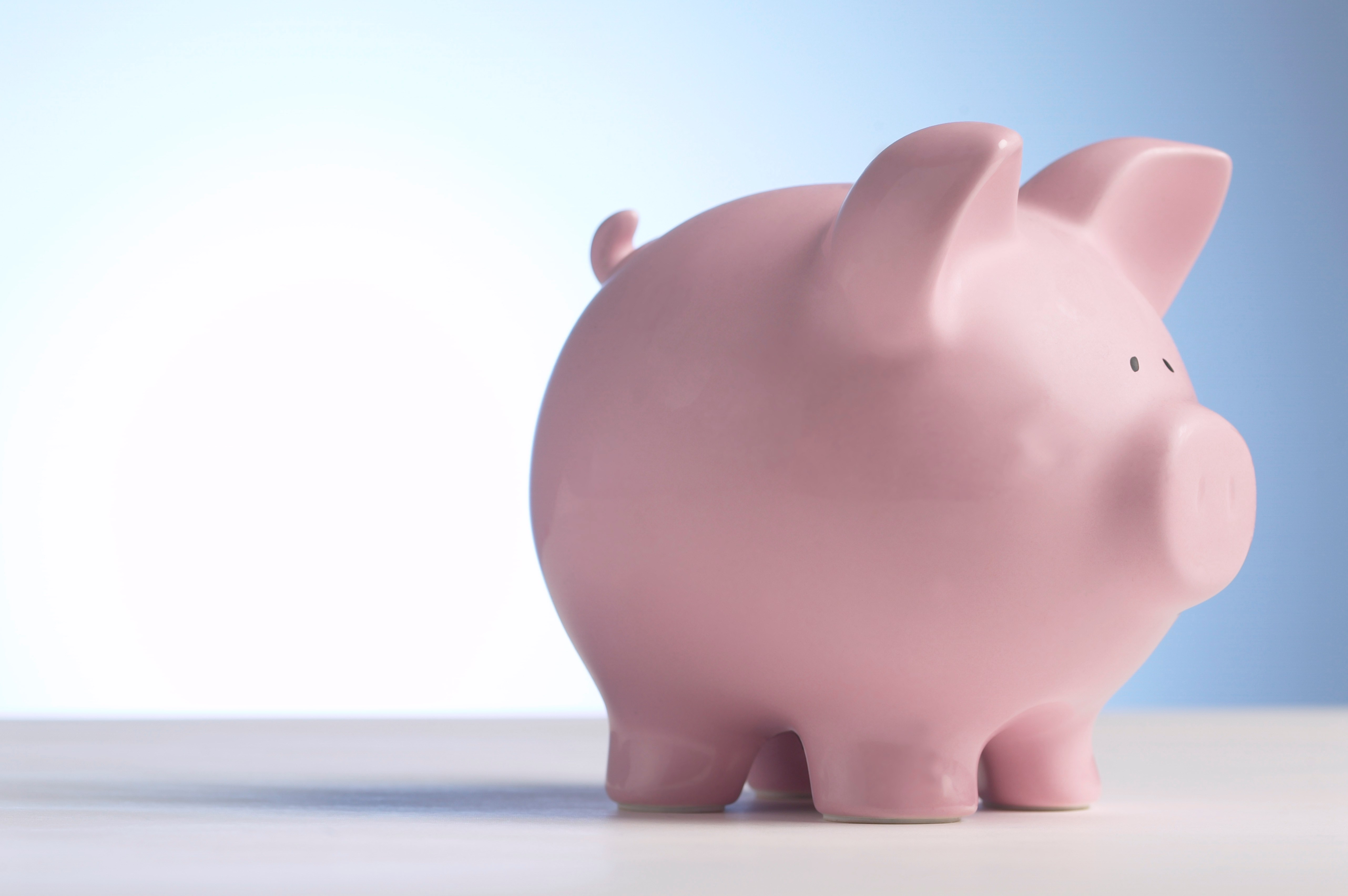 Pink piggy bank on a white surface HD Wallpaper