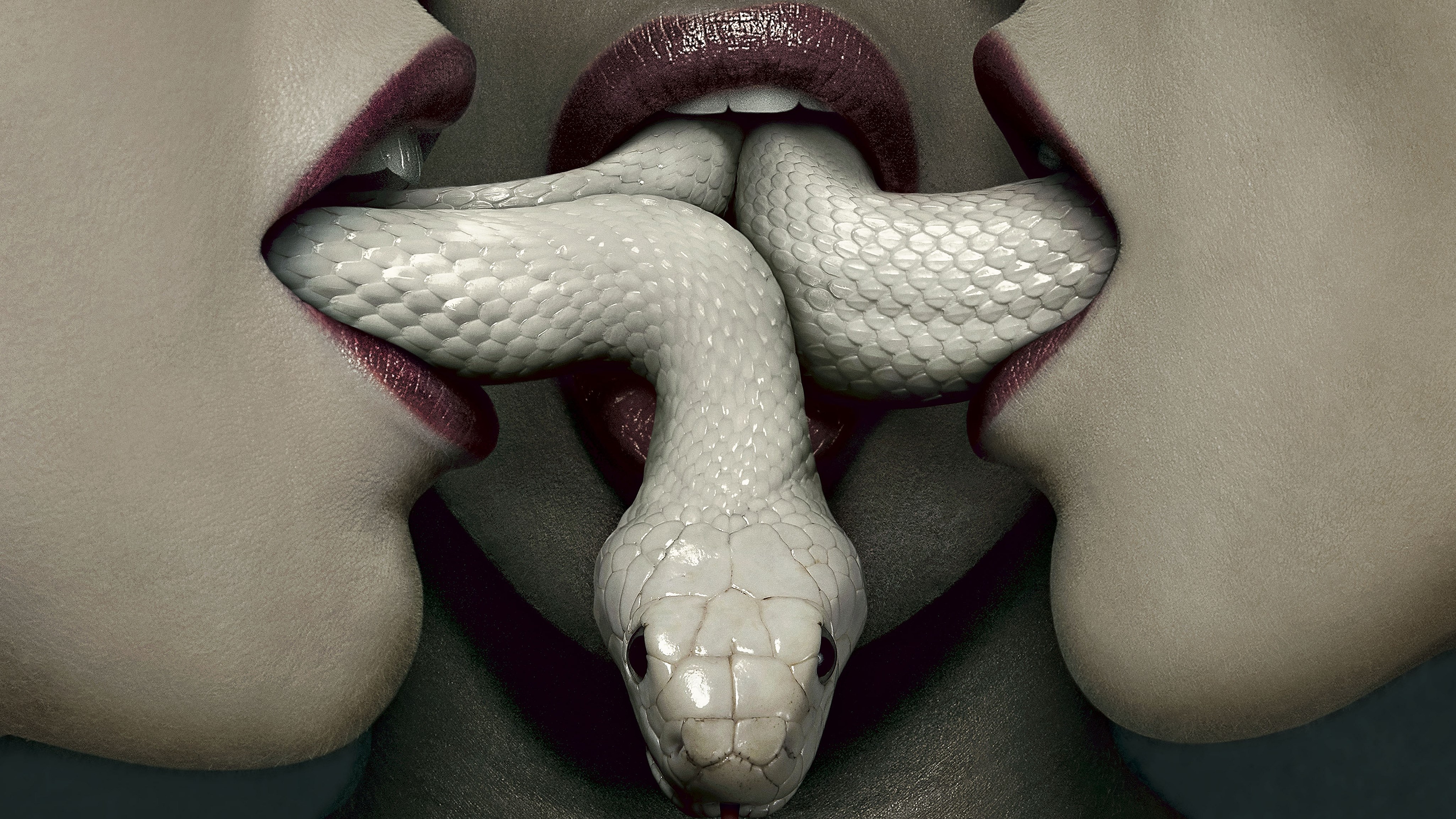 American Horror Story Coven HD Wallpaper