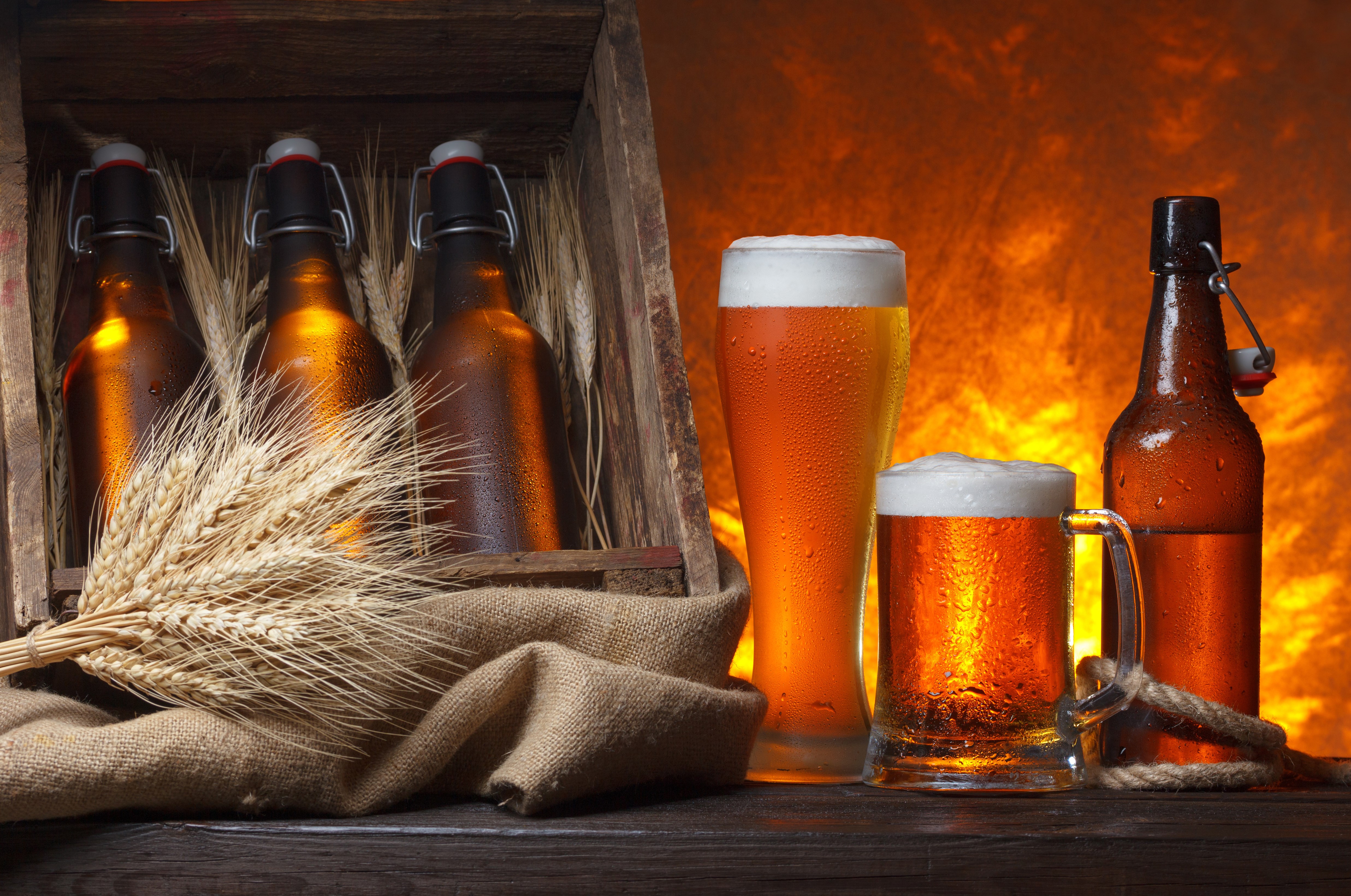 Beer bottles and glasses with wheat HD Wallpaper