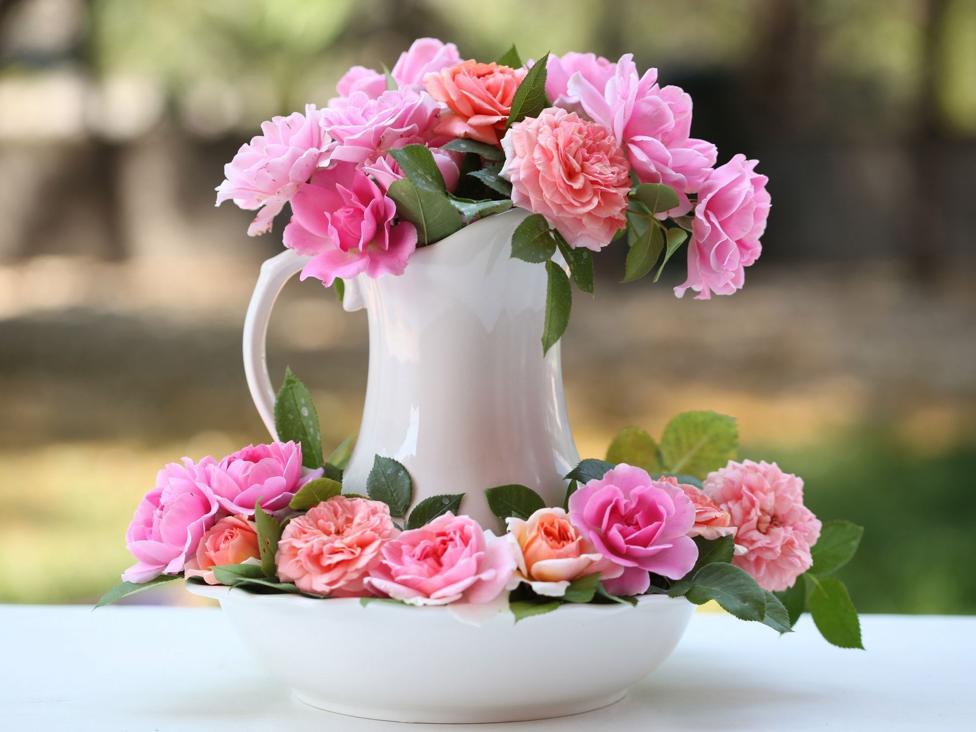 Pink and orange roses in a white pitcher and bowl HD Wallpaper