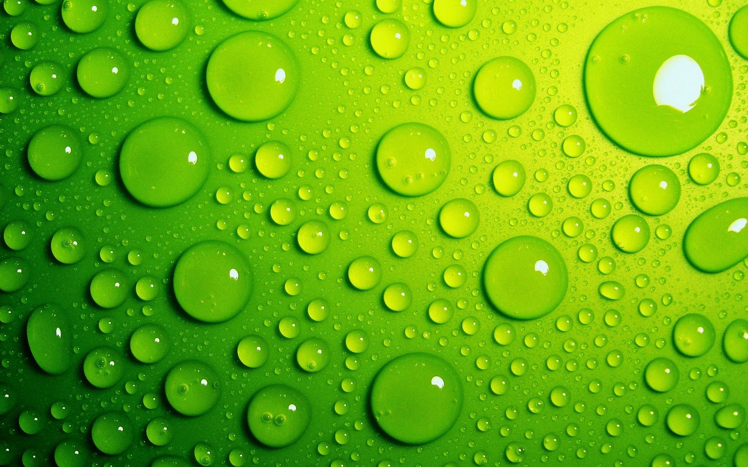Water drops on a green surface HD Wallpaper