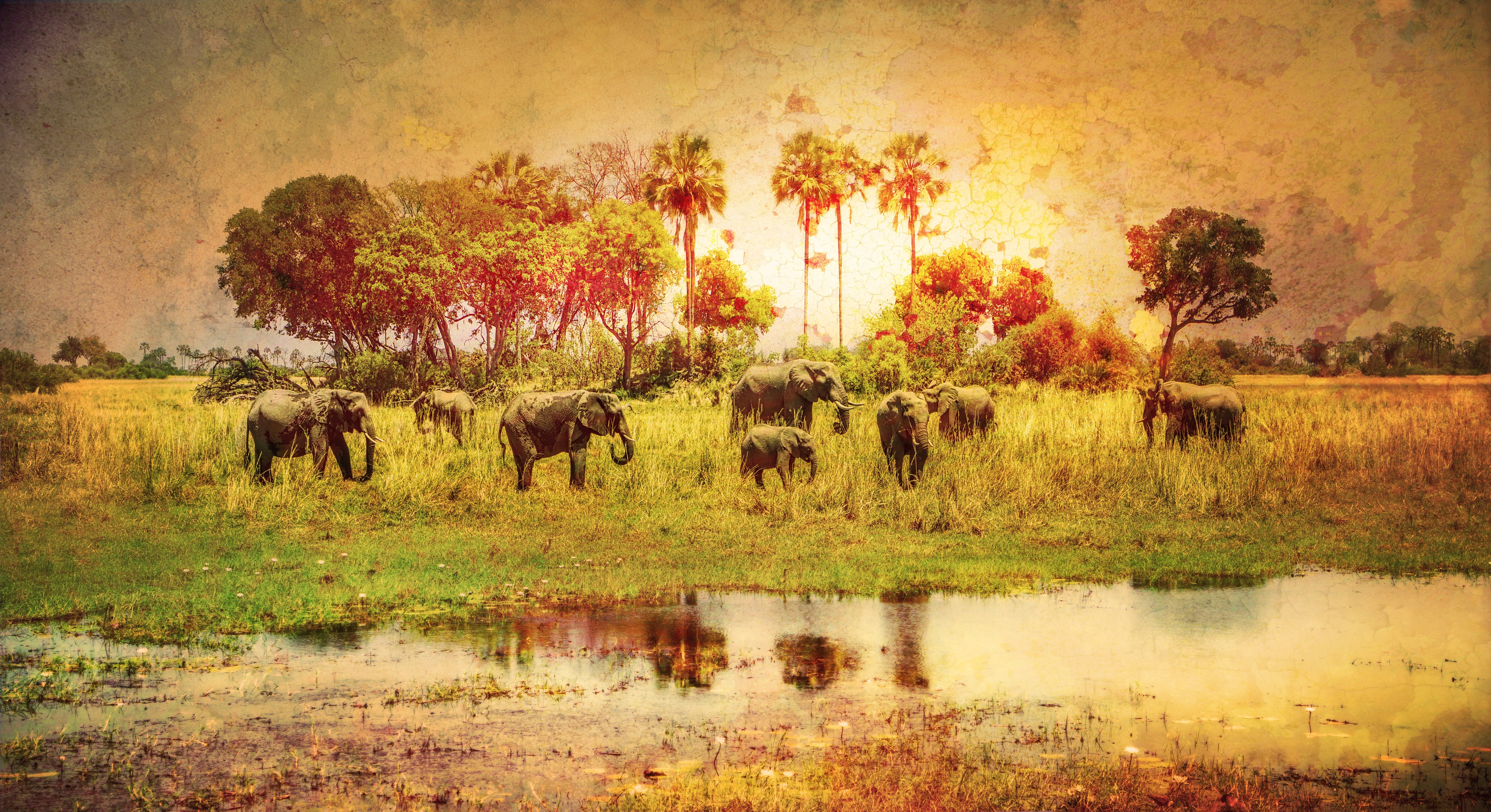 Herd of elephants in a savanna landscape HD Wallpaper