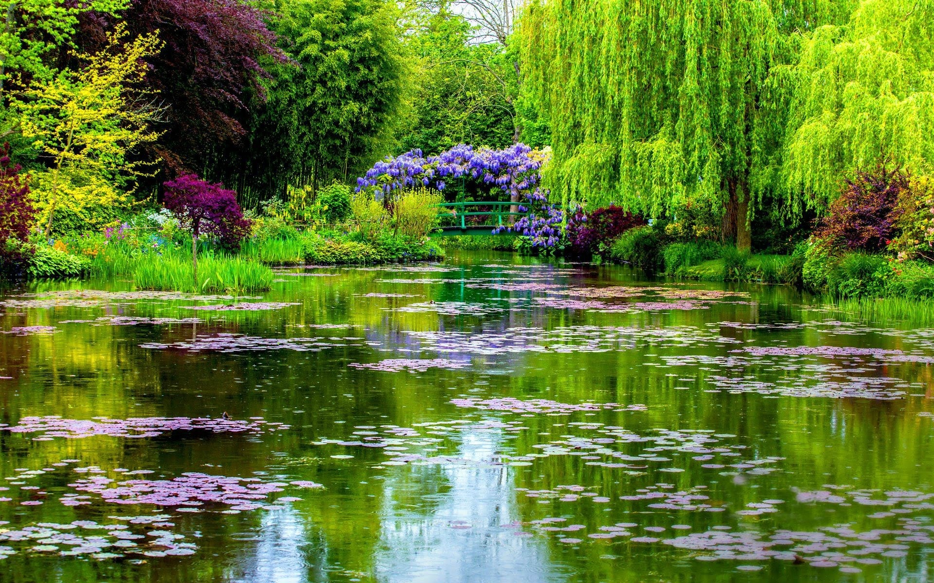 Monet's Garden Pond with Water Lilies and Bridge HD Wallpaper