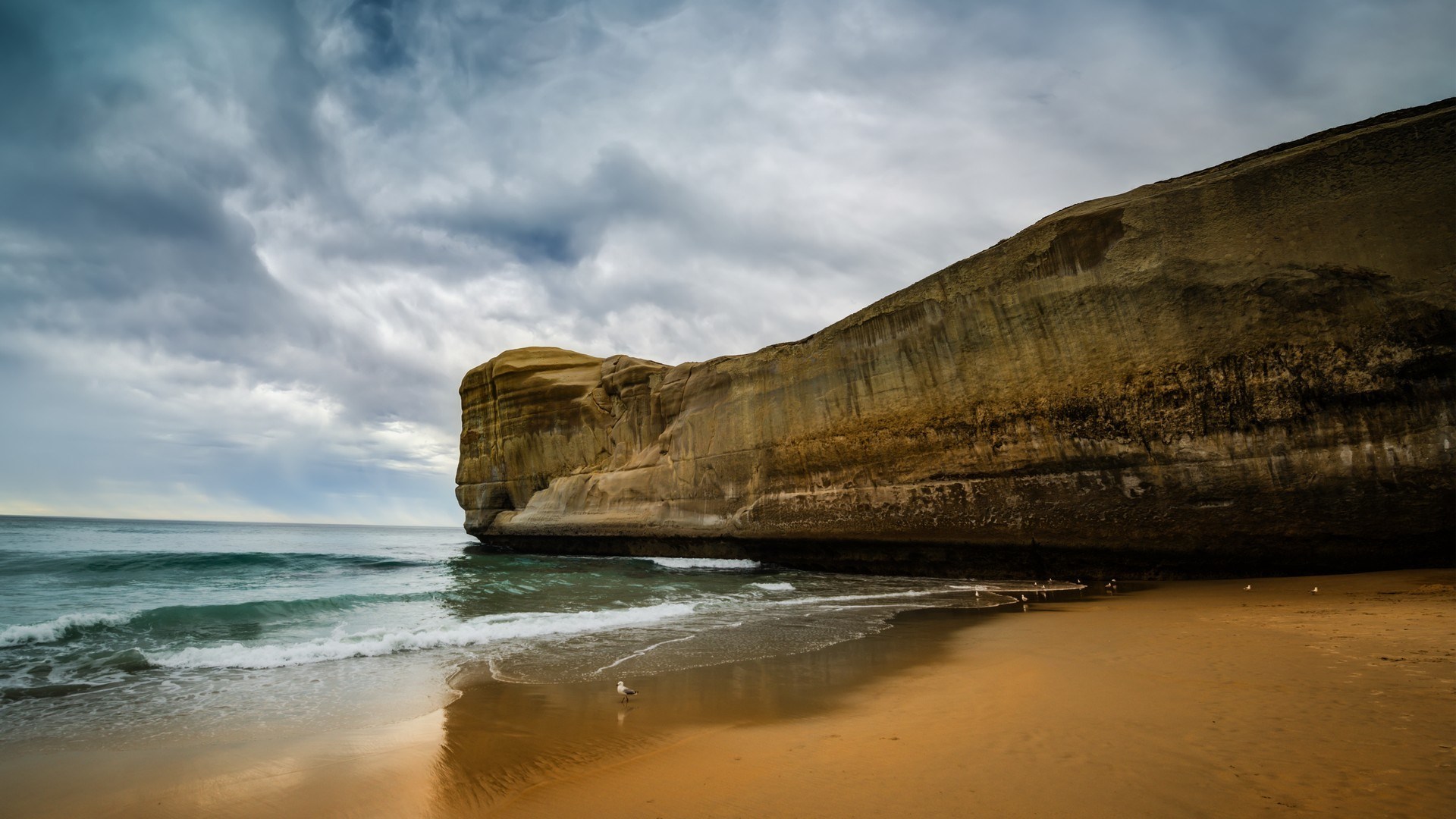 Cliff overlooking the ocean HD Wallpaper