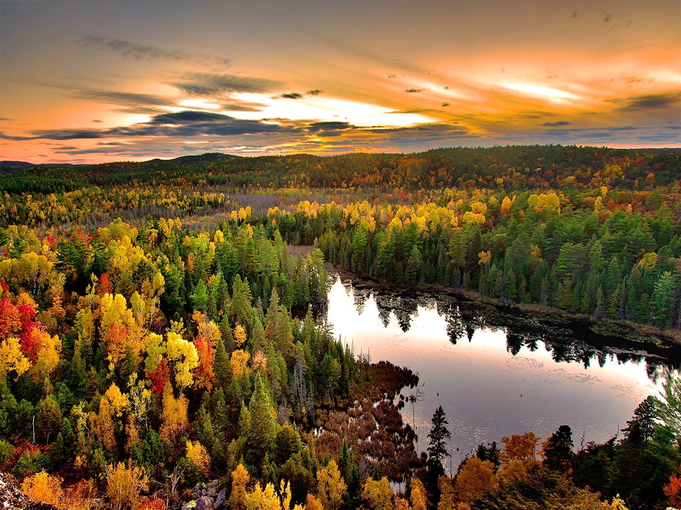 Autumn forest with lake at sunset HD Wallpaper