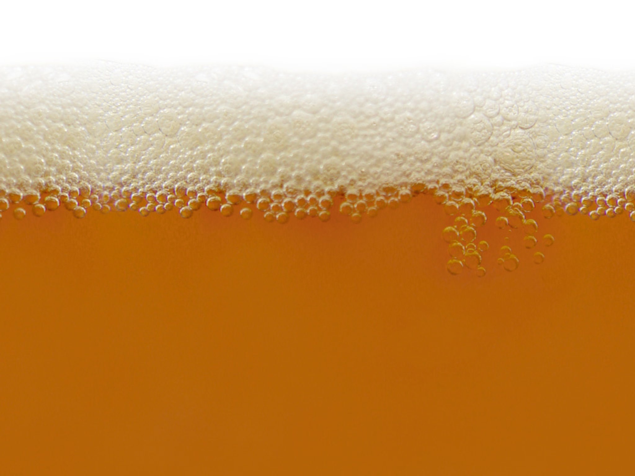 Close-up of beer with foam HD Wallpaper