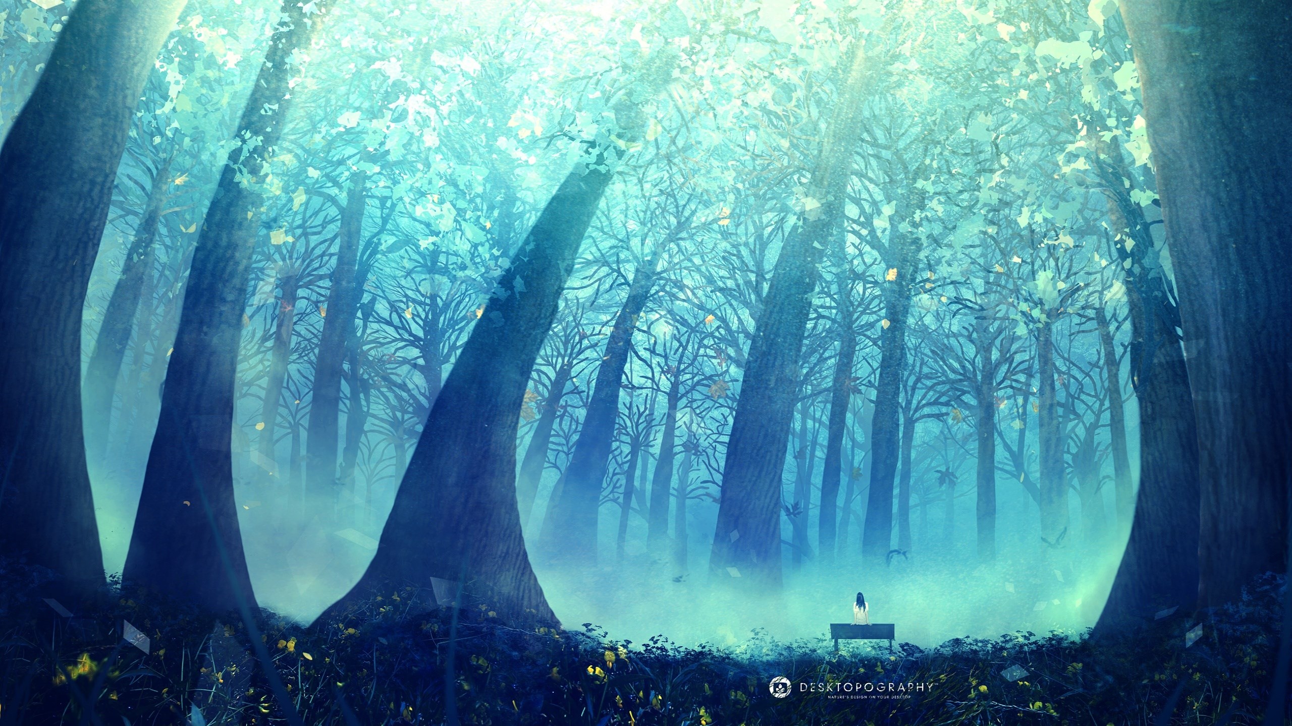 Enchanted Forest with Glowing Light and Bench HD Wallpaper