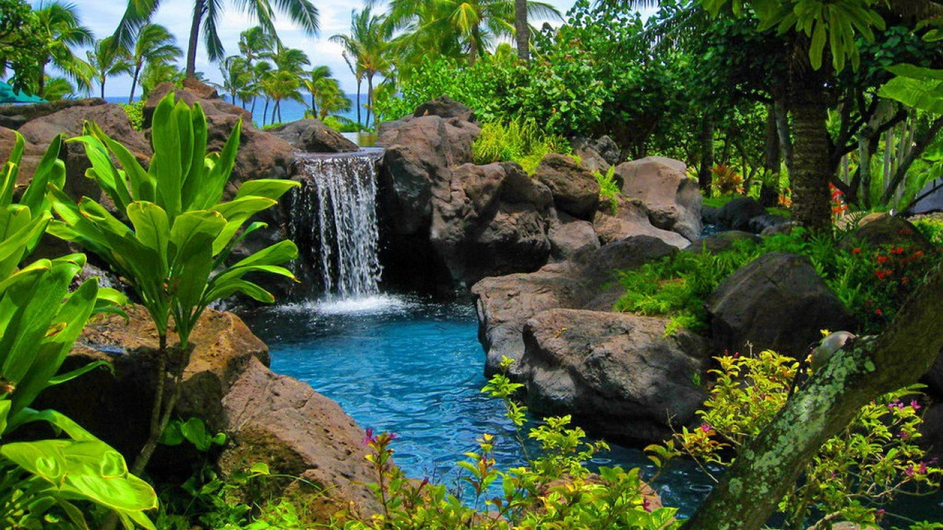 Waterfall in a tropical paradise with palm trees HD Wallpaper
