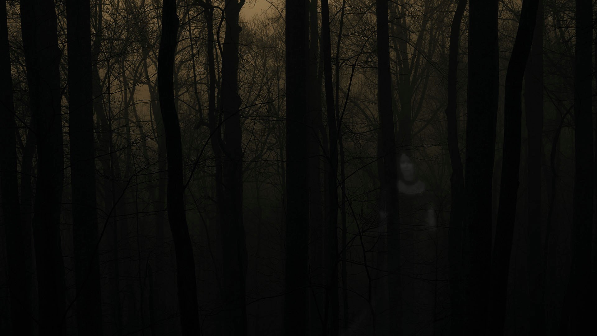 Ghostly figure in a dark, misty forest HD Wallpaper