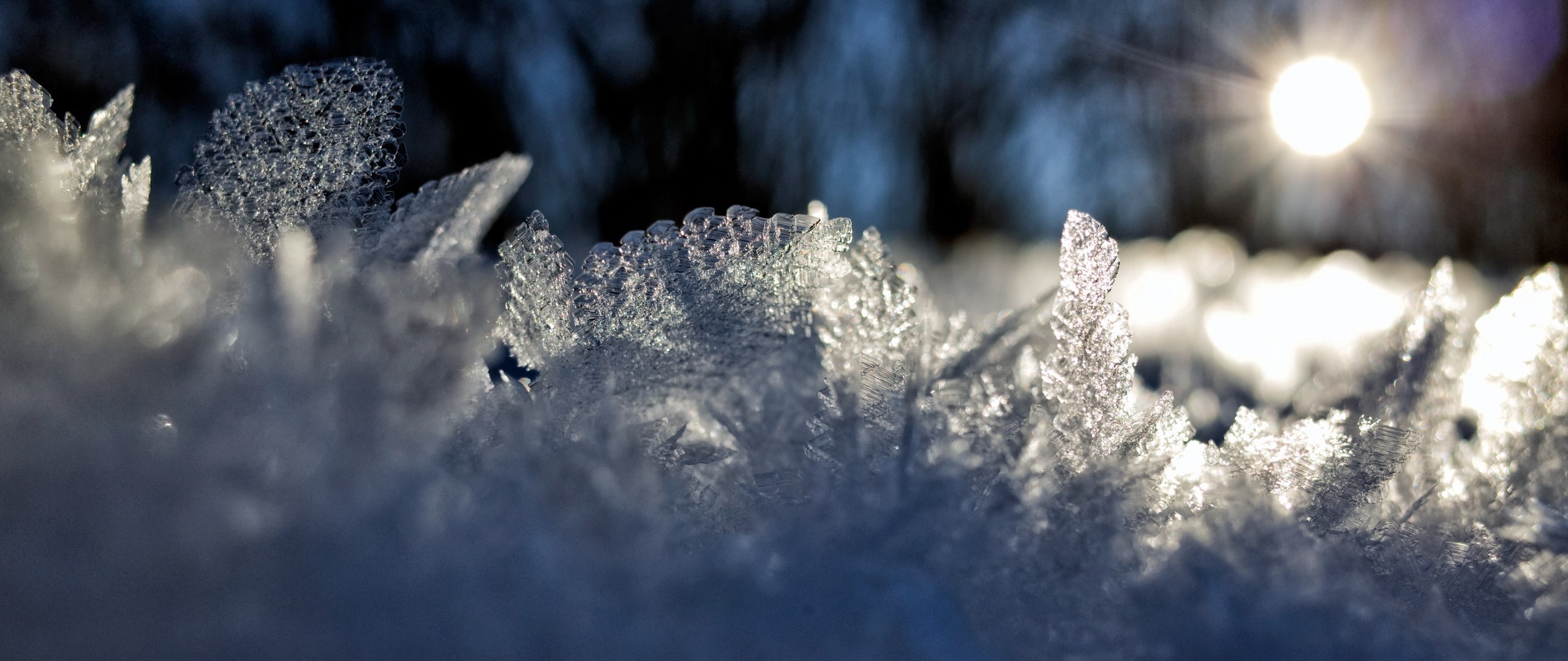 Close-up of ice crystals with sun in background HD Wallpaper