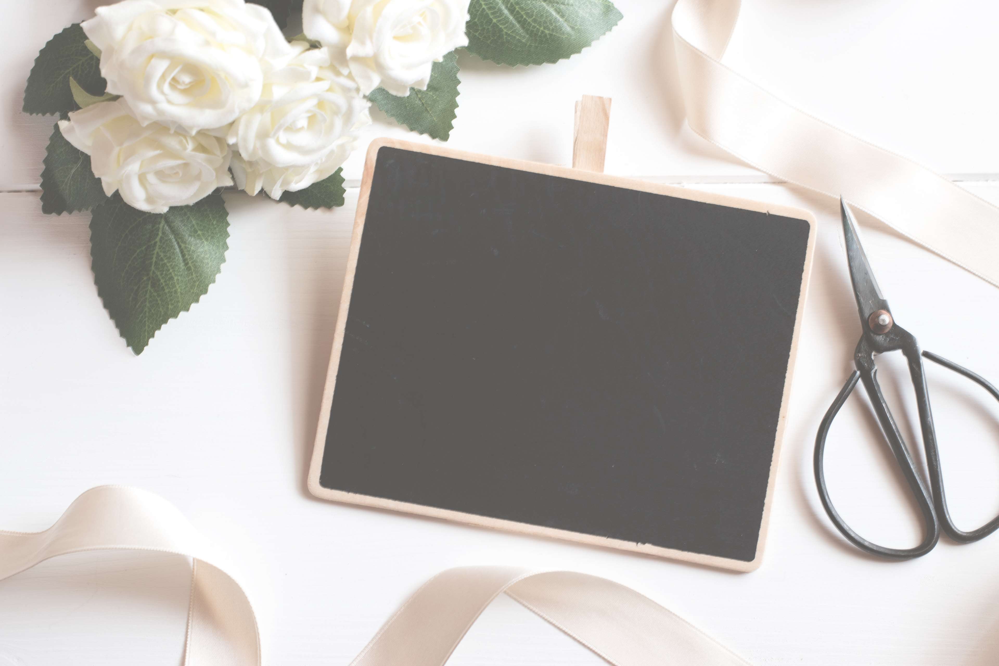 White roses, chalkboard, and scissors on a white surface HD Wallpaper