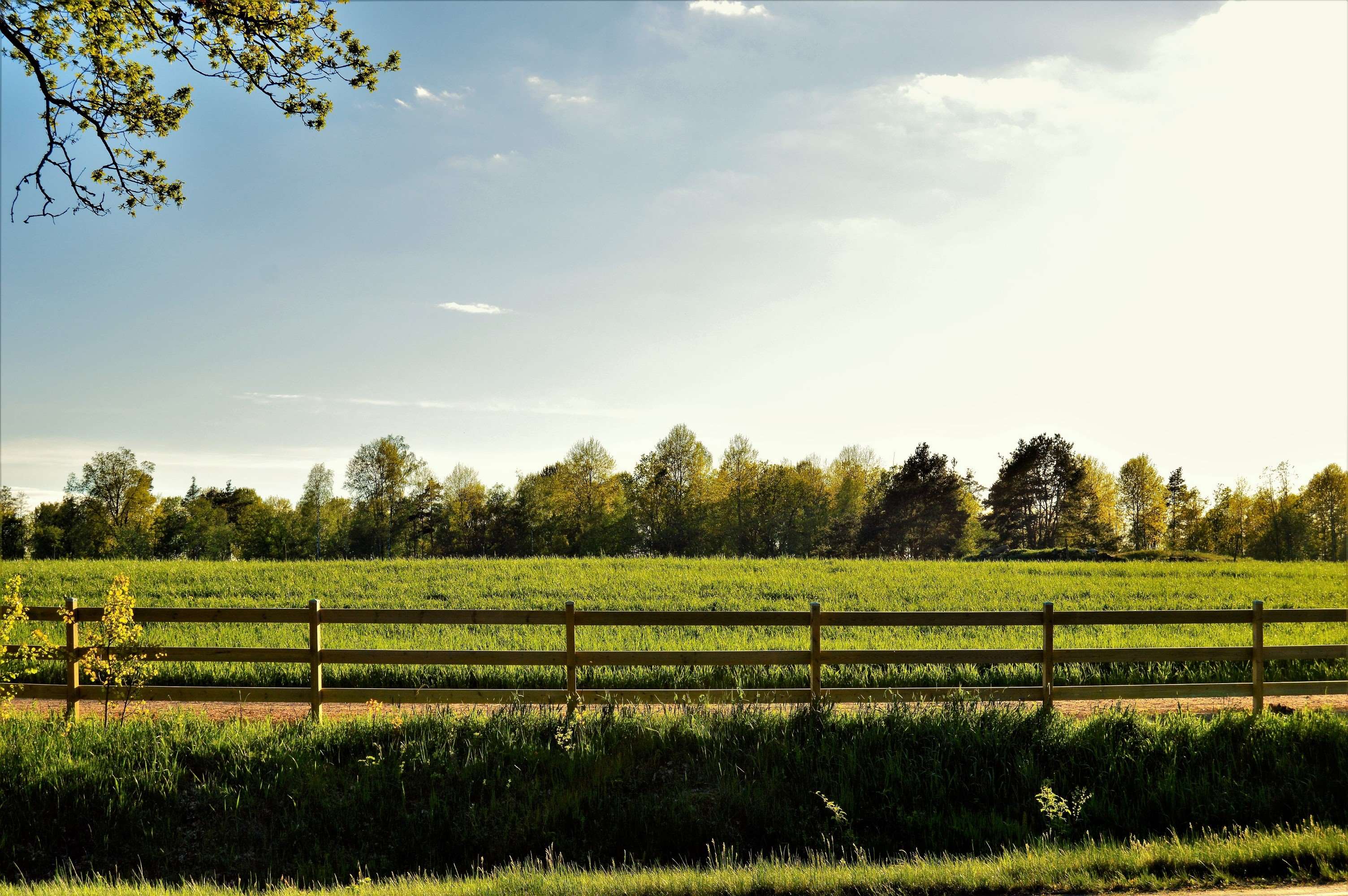 Wooden fence in a green field with trees and sky HD Wallpaper