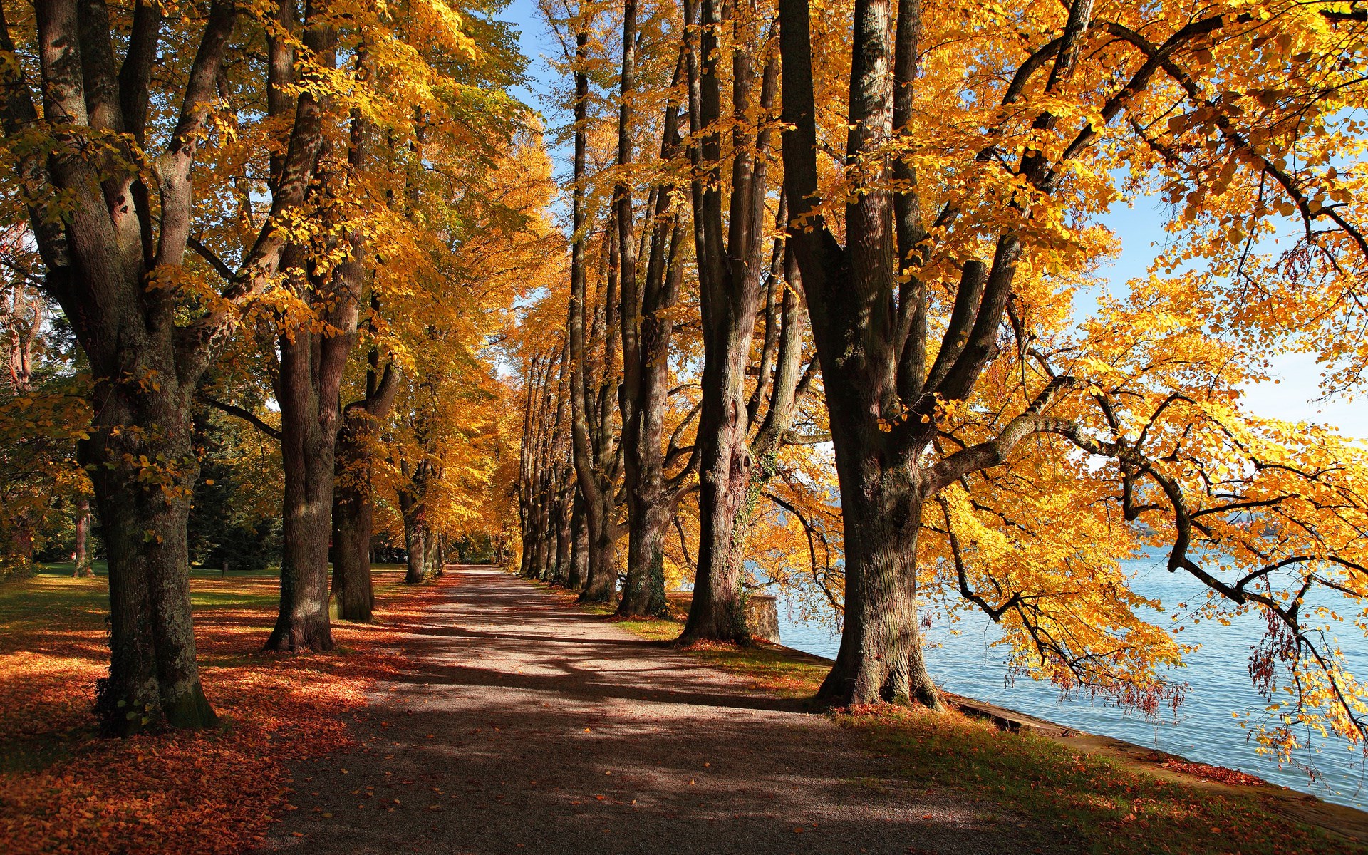 Autumn park path with trees and lake HD Wallpaper