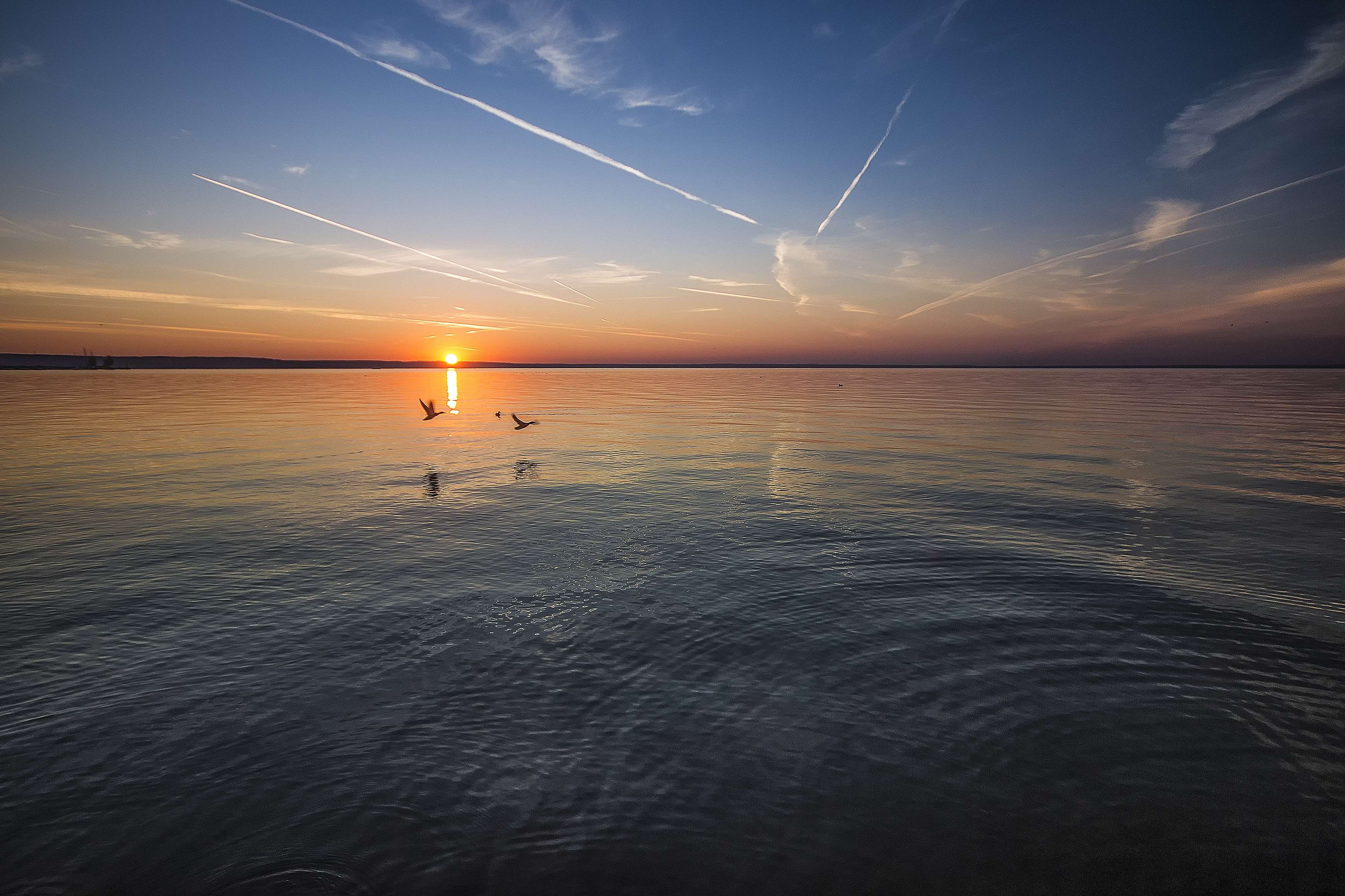 Sunset over the ocean with birds flying HD Wallpaper