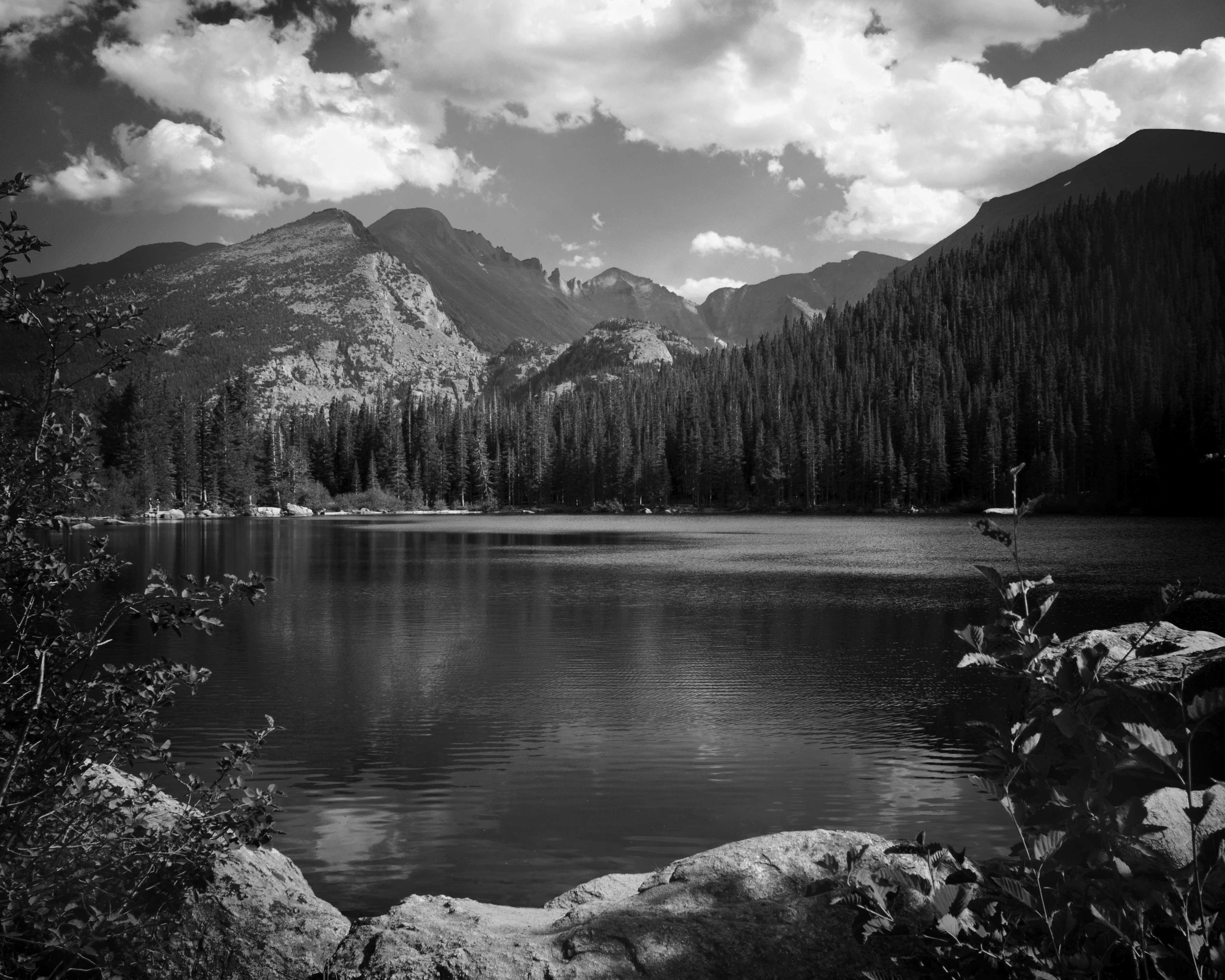 Black And White Mountain Lake Landscape With Forest And Clouds Hd 