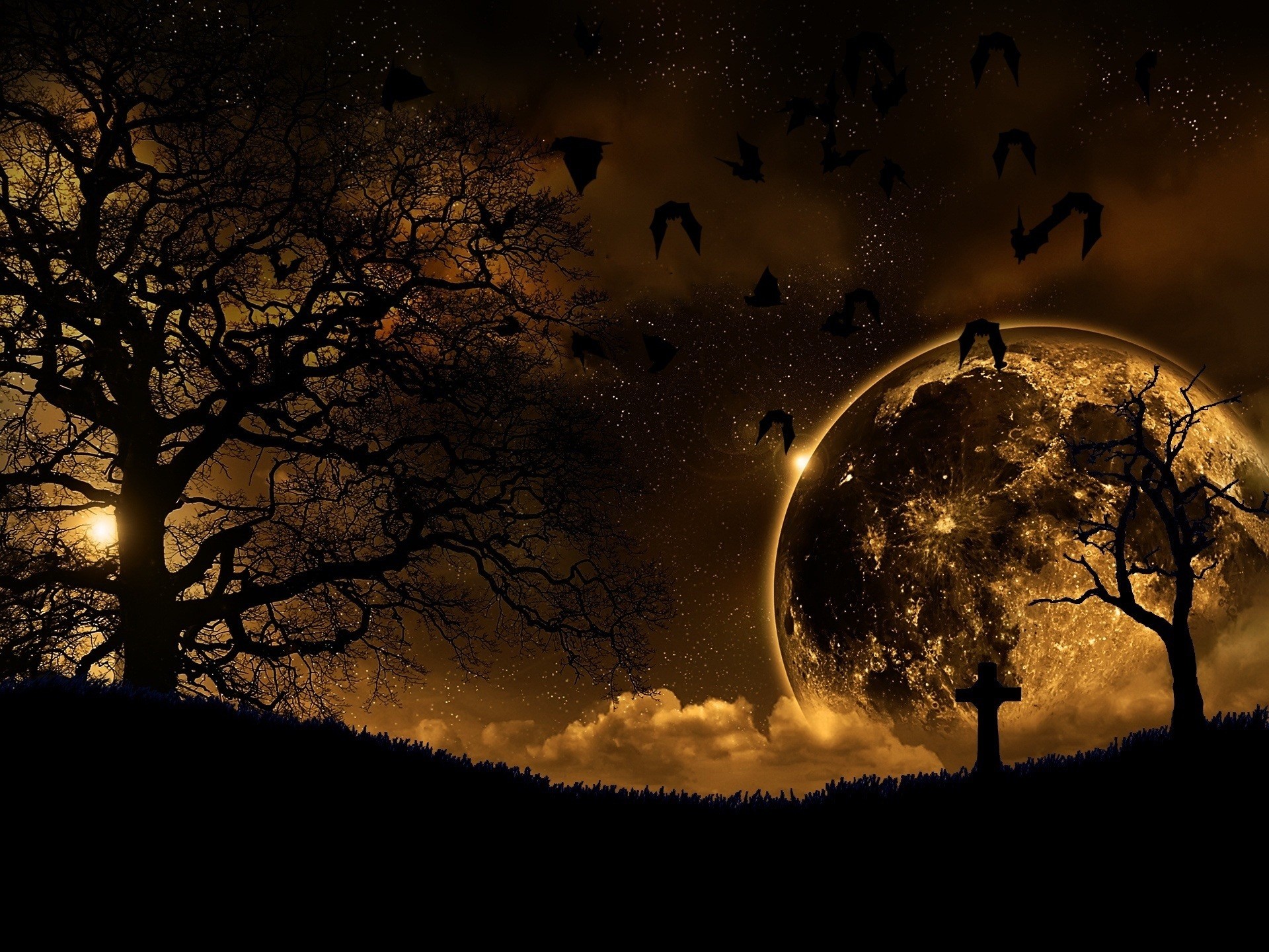Eerie Night Landscape with Glowing Moon and Silhouetted Trees HD Wallpaper