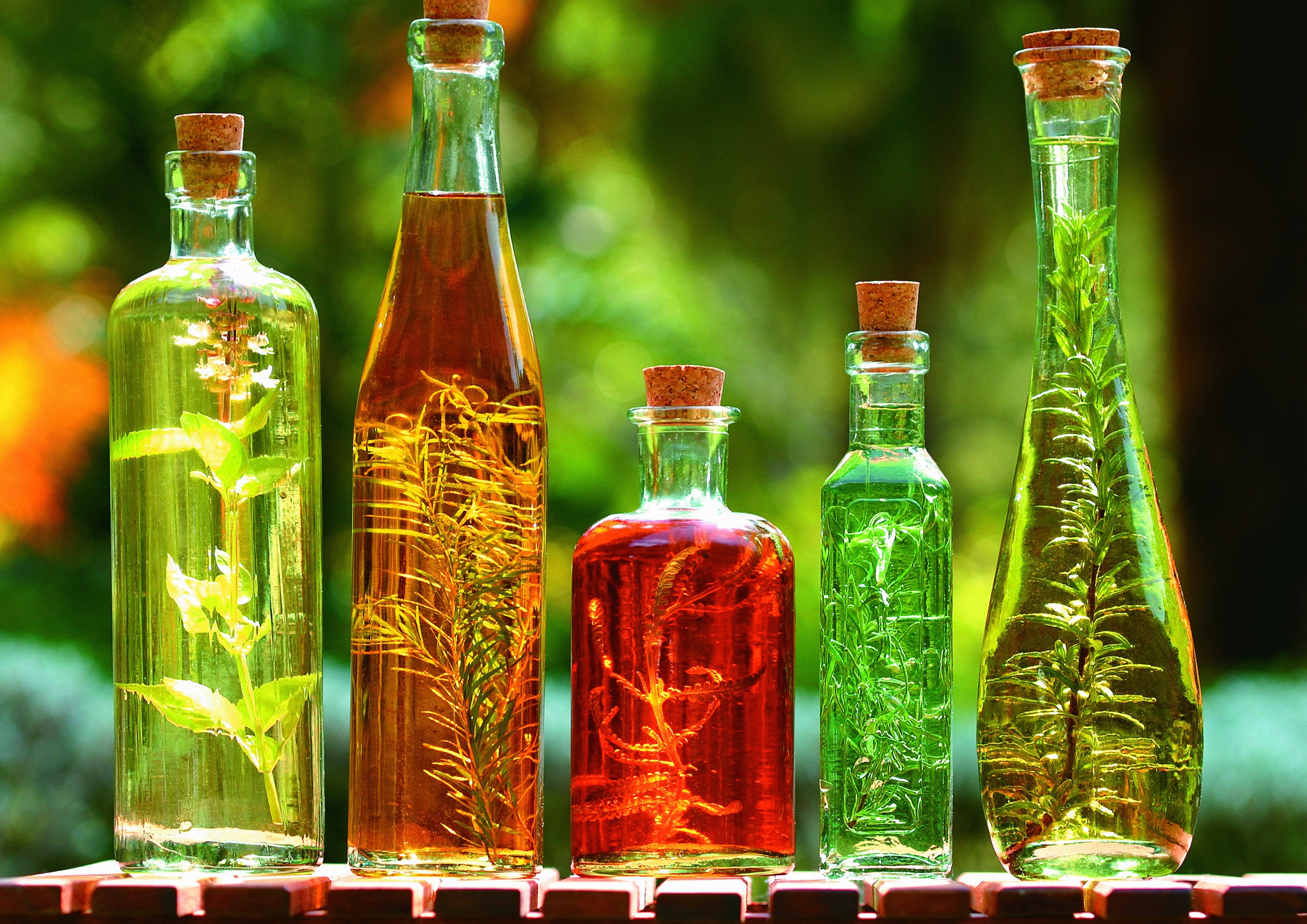 Colorful oil bottles with herbs inside HD Wallpaper