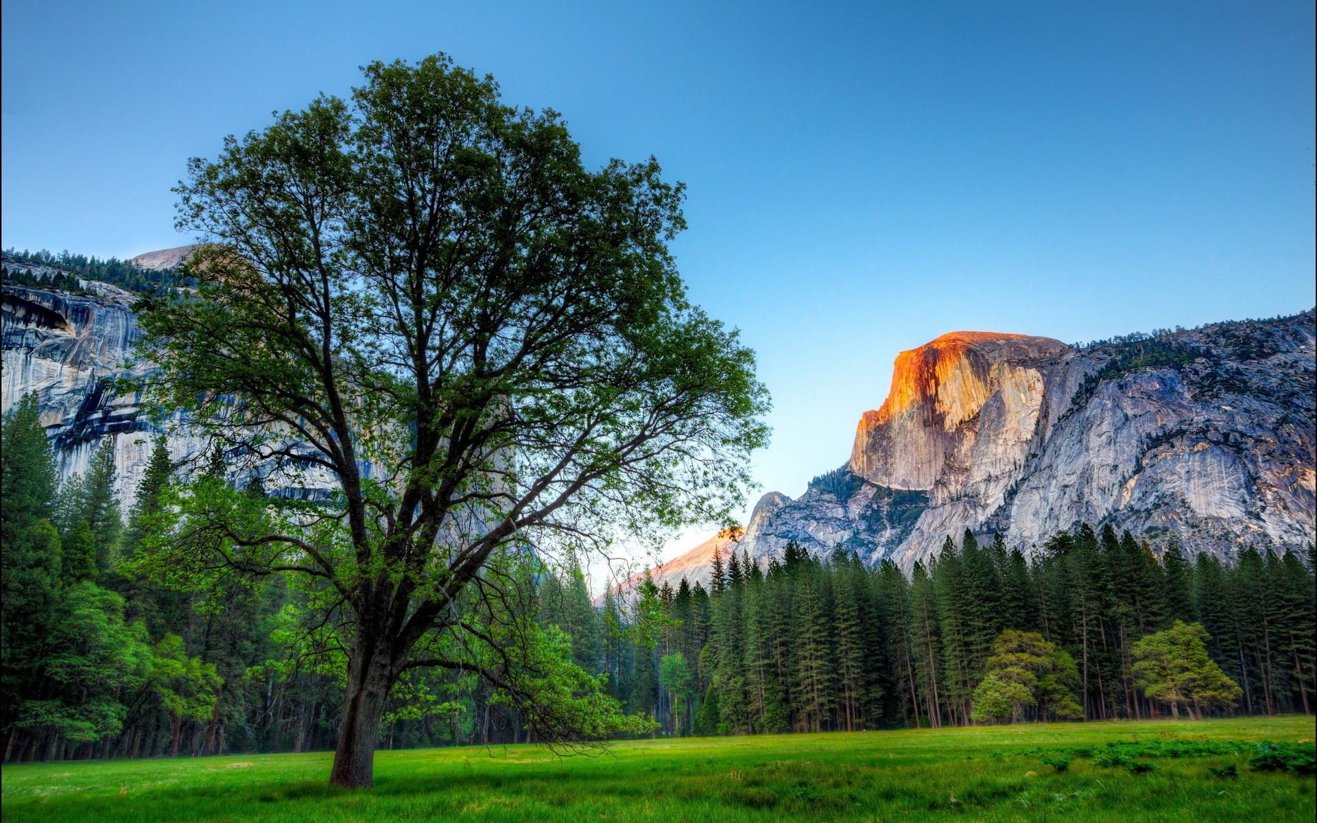 Half Dome Yosemite National Park at sunrise HD Wallpaper