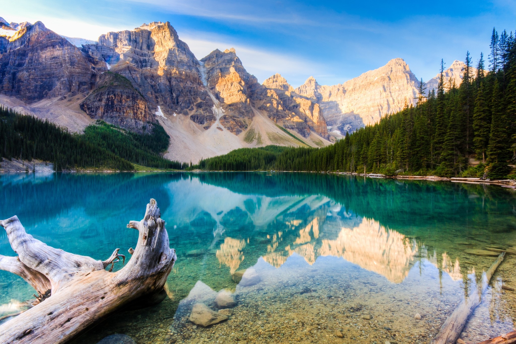 Moraine Lake with Mountains and Deadwood HD Wallpaper