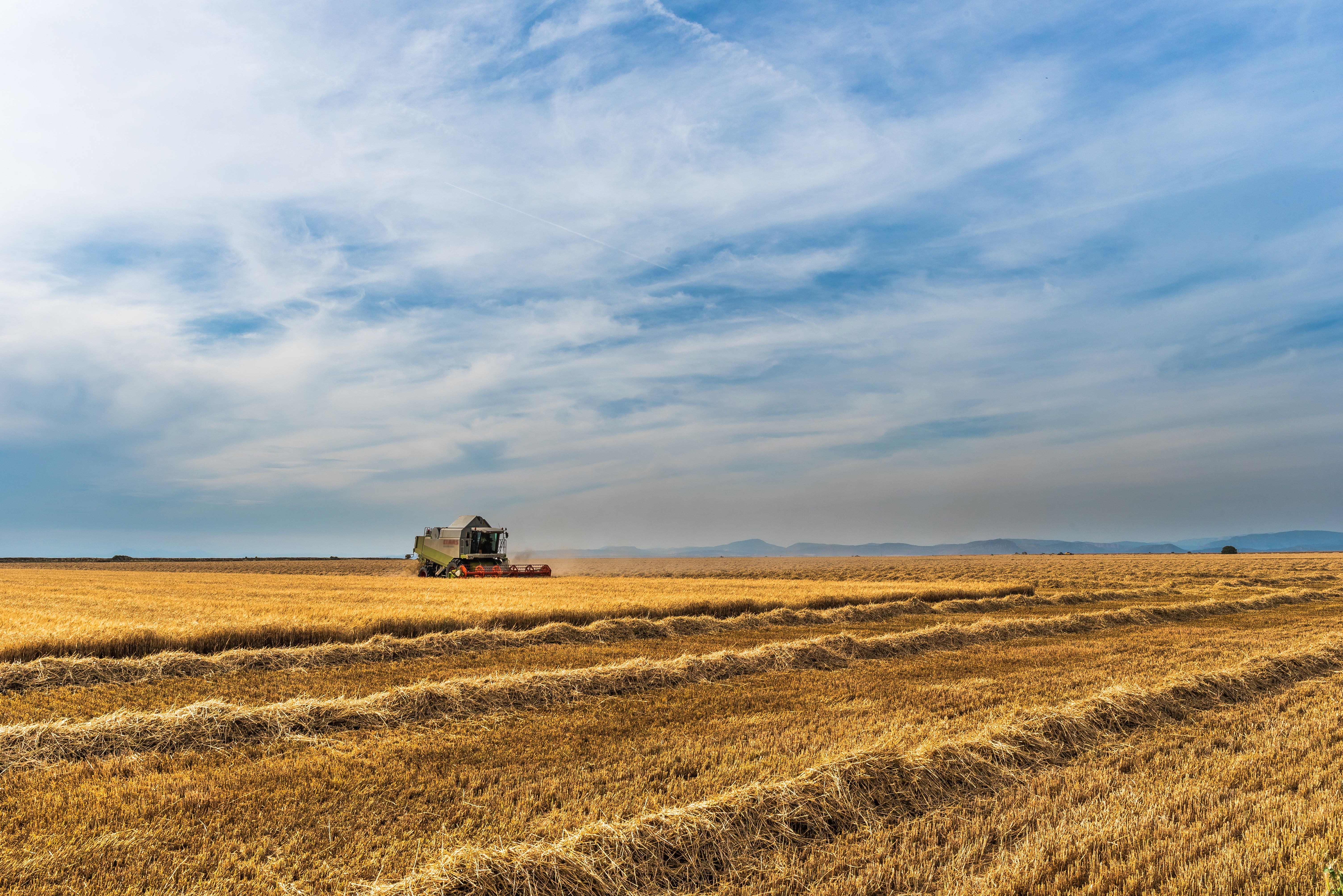 Combine harvester in a golden wheat field under a cloudy sky HD Wallpaper