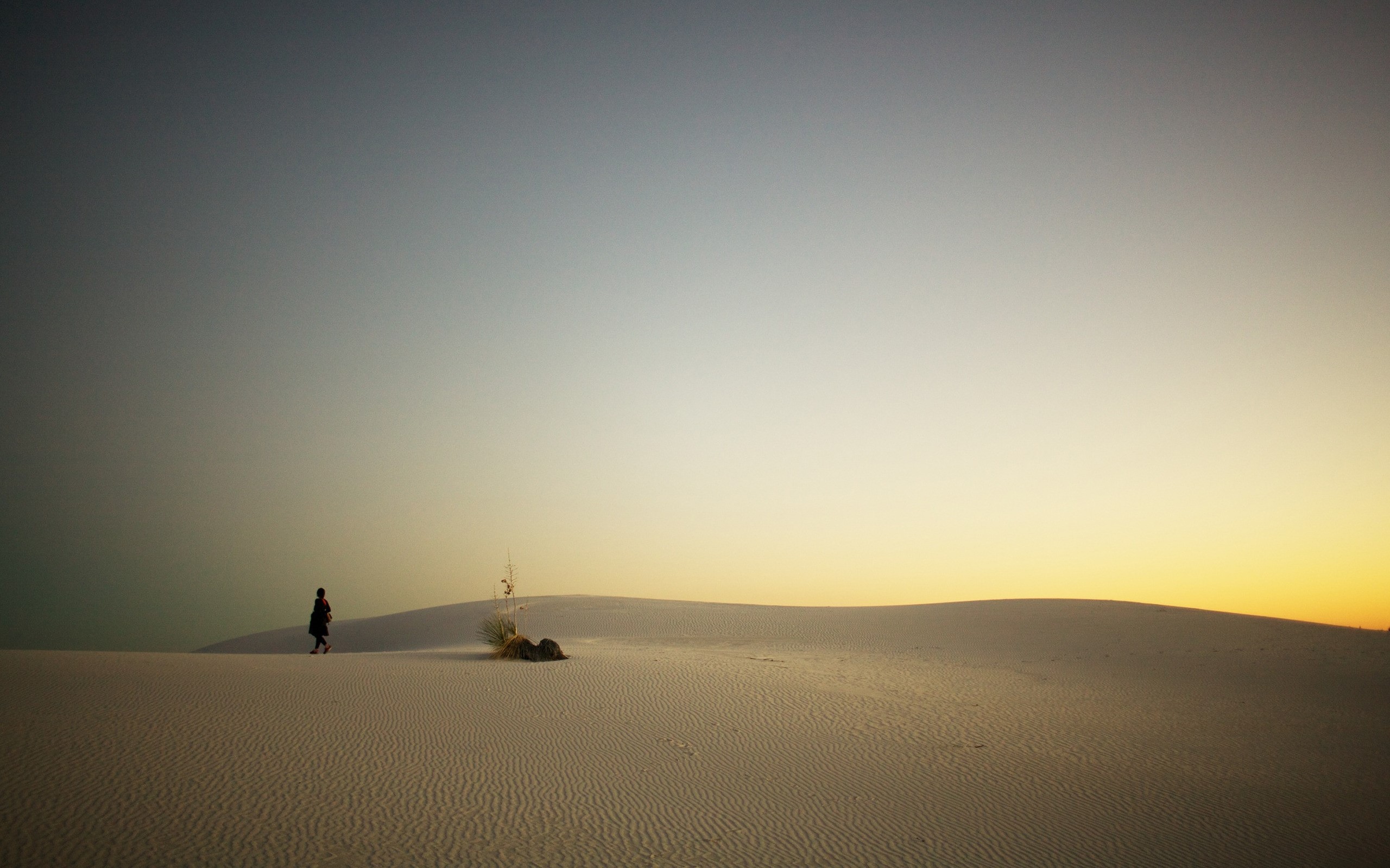 Person walking in desert at sunset HD Wallpaper