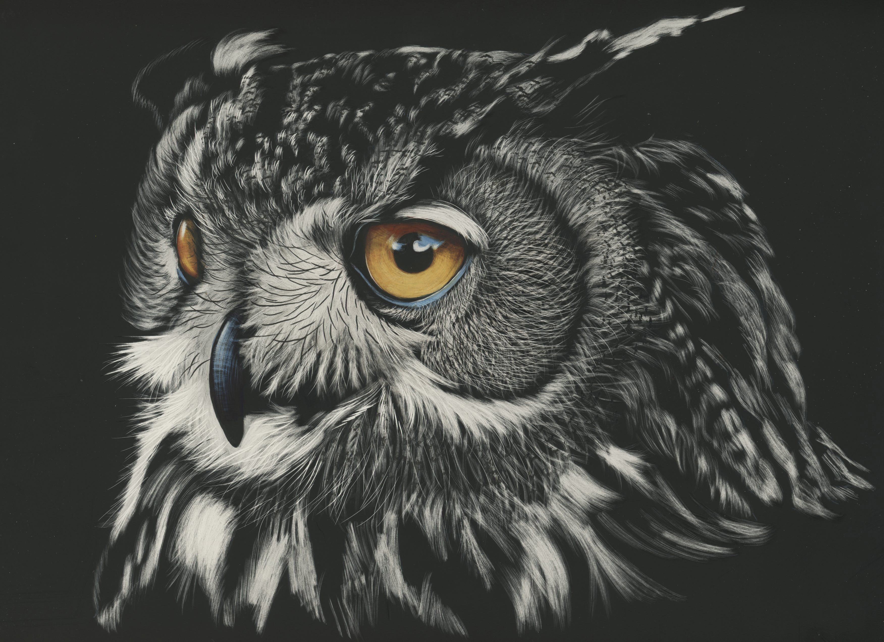 Close-up painting of an owl's head HD Wallpaper