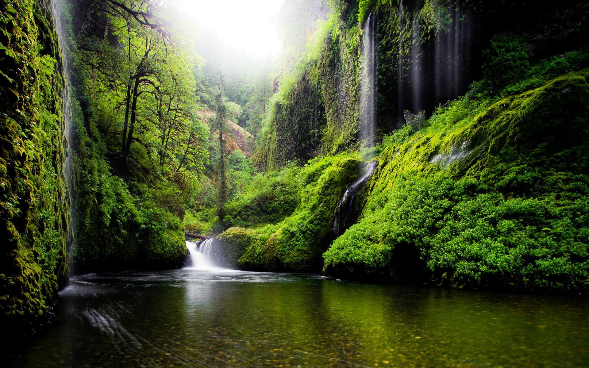 Moss-covered cliffs and waterfalls in a forest HD Wallpaper