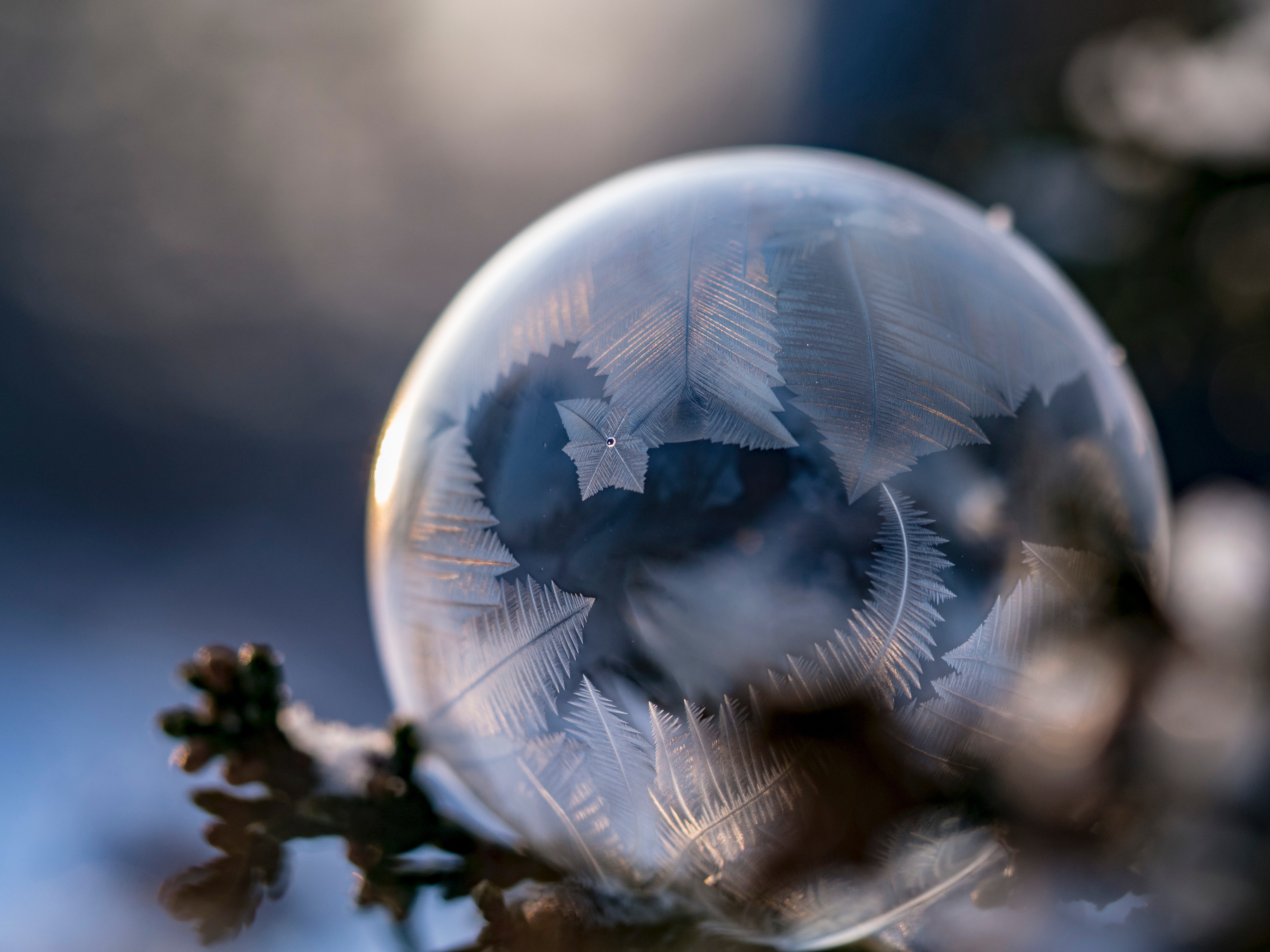 Frozen bubble with ice crystals on a twig HD Wallpaper