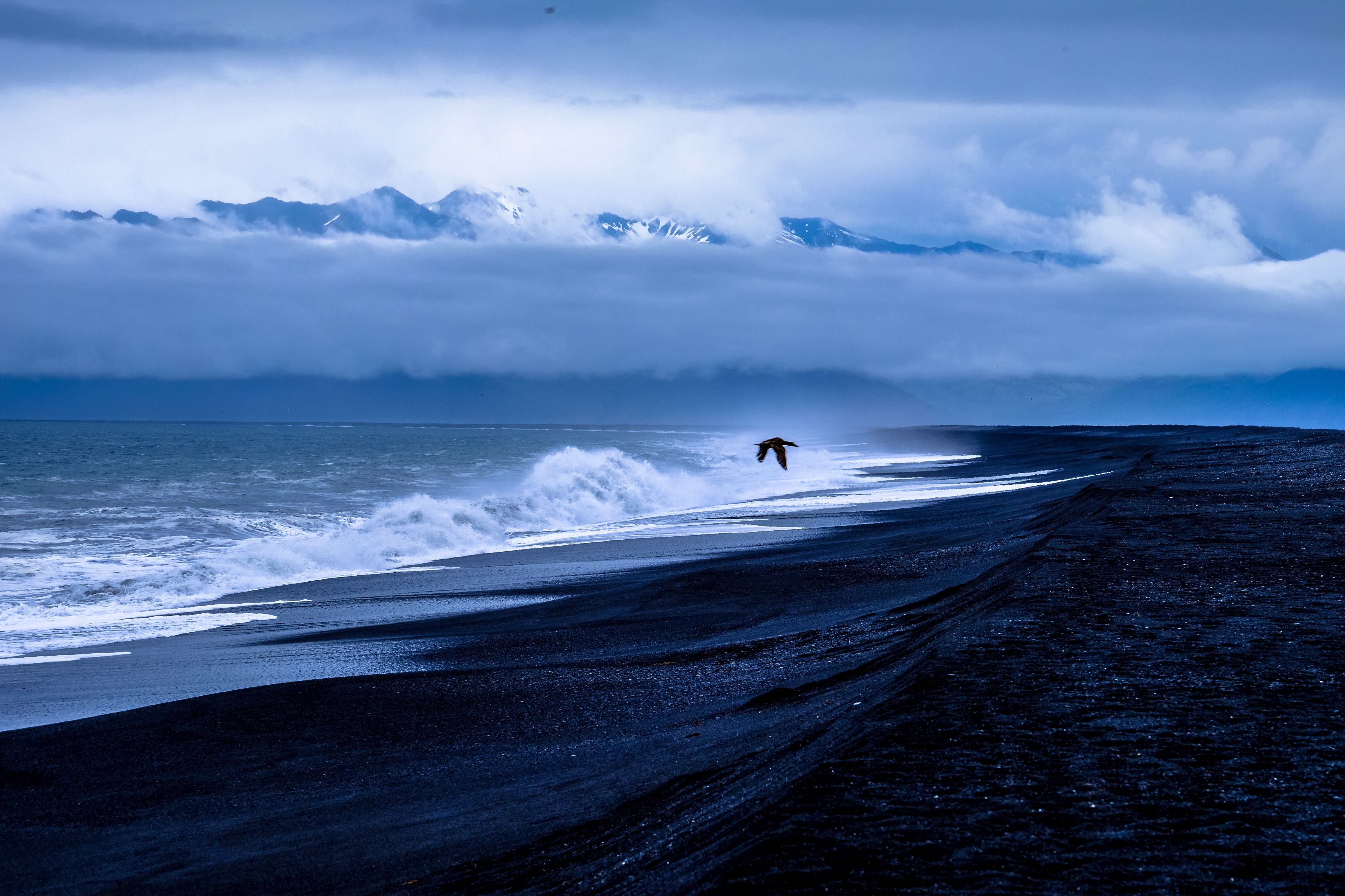 Bird flying over black sand beach with waves and mountains HD Wallpaper