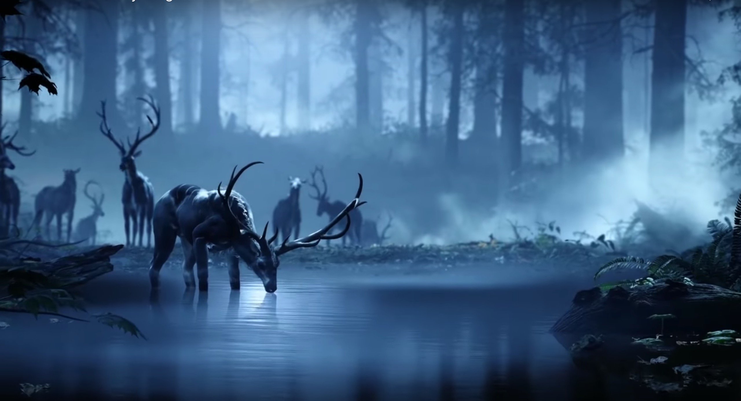 Deer drinking water in a foggy forest HD Wallpaper