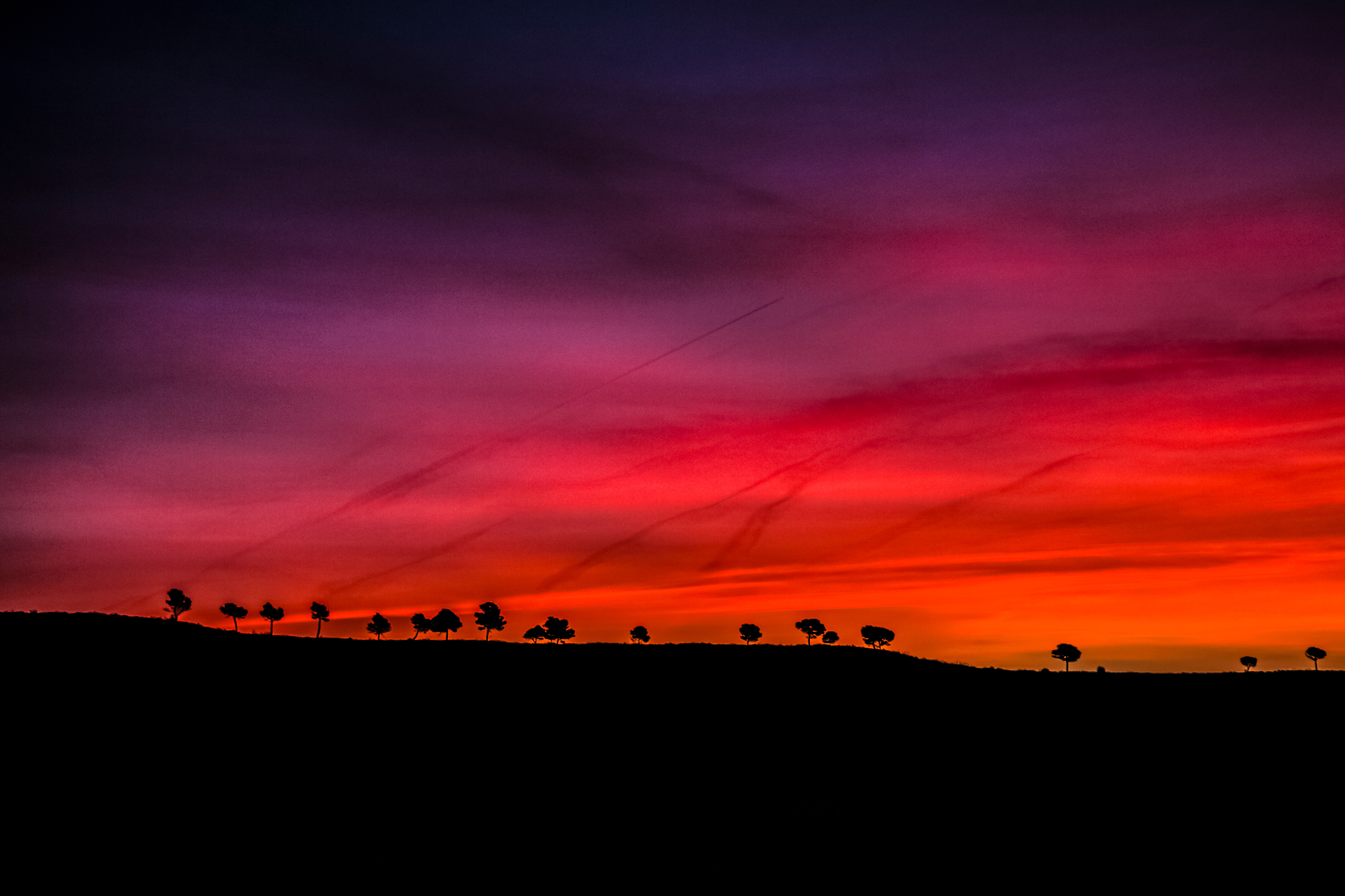 Silhouette of trees against a vibrant sunset sky HD Wallpaper